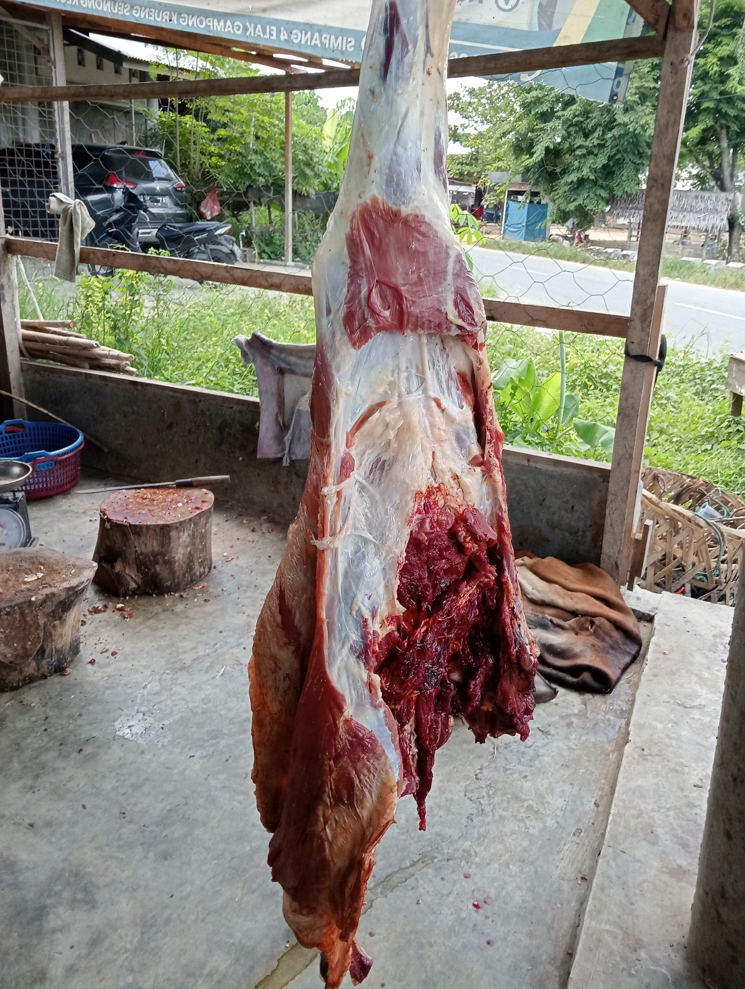 A freshly butchered carcass of a large animal, possibly a cow or buffalo, hangs vertically in what appears to be a roadside stall. The animal has been skinned, revealing layers of fat and muscle. The lower part of the carcass shows signs of recent butchering, with exposed organs or internal tissues. Blood is visible on the carcass and the ground beneath it.
The stall is a simple structure made of wood and metal, with a corrugated metal roof. Butchering equipment such as cutting boards and a scale are visible nearby. The surrounding environment suggests a rural or semi-rural area in Southeast Asia, with lush vegetation and houses visible in the background. Cars and a motorcycle can be seen through a wire mesh fence.
Given the text visible on a sign ("SIMPANG & ELAk CAMPONG JAMAL"), it is possible this scene is in the city of Lhokseumawe, Indonesia, as specified. The scene depicts the processing of an animal for food.