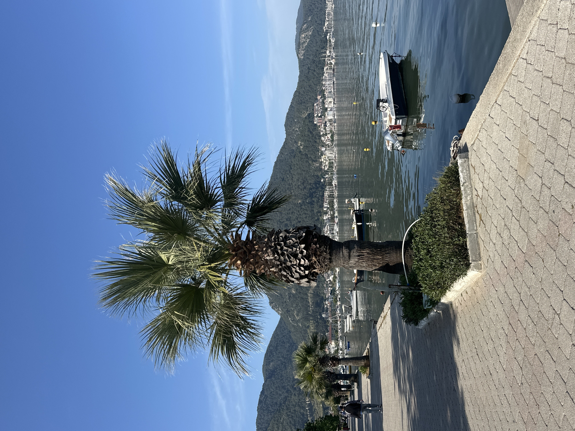Here's a description of the image:
**Location:** Fethiye, Turkey
**Environment:** The image is taken from a paved waterfront walkway. The scene includes a harbor with boats, a tree-covered mountain range in the background, and a clear blue sky.
**Objects:**
* Palm trees line the walkway.
* A boat is moored in the harbor.
* A white tube is visible next to the shrub.
**People:**
* Figures can be seen walking along the walkway in the background.
**Actions/Interactions:**
* There is some sort of structure, and/or objects in the water.
* The trees provide shade on the walkway.