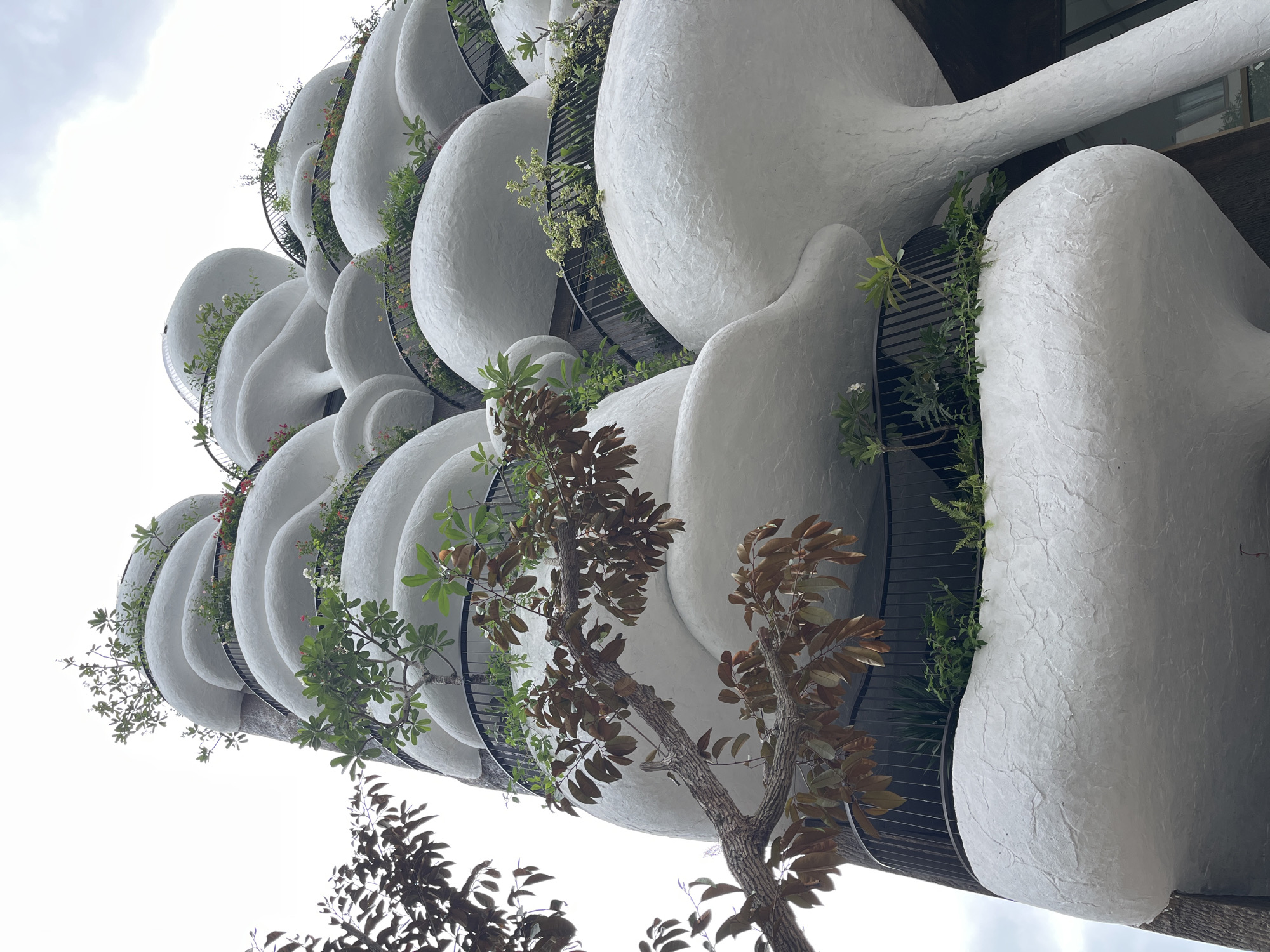 This image, captured in Đà Nẵng, Vietnam, presents a striking view of a unique architectural building from a low-angle perspective. The primary subjects are the building's distinctive exterior and the integrated natural elements.
The building is characterized by multiple tiers of large, bulbous, white structures. These forms appear organic and irregularly shaped, resembling smooth, textured pods or oversized stones. Their surfaces have a rough, stucco-like finish, adding to their natural aesthetic. These white segments are arranged in a cascading or stacked design, creating a dynamic and visually intriguing facade.
Lush green plants and foliage are integrated into the architecture, spilling over the edges of the white structures, suggesting the presence of balconies or integrated planters. Some of these plants bear small, subtle flowers. Dark metal railings are visible behind the greenery, providing functional support.
In the foreground, the branches and leaves of several trees, some with rich brown foliage and others with green leaves, partially frame the view, adding depth and a connection to the natural environment. The sky is overcast or cloudy, indicating daytime with soft, diffused lighting that highlights the textures and curves of the building. There is no visible human activity or discernible text in the image. The architecture conveys a sense of modern, biomorphic design, often associated with vertical gardens or sustainable urban development.