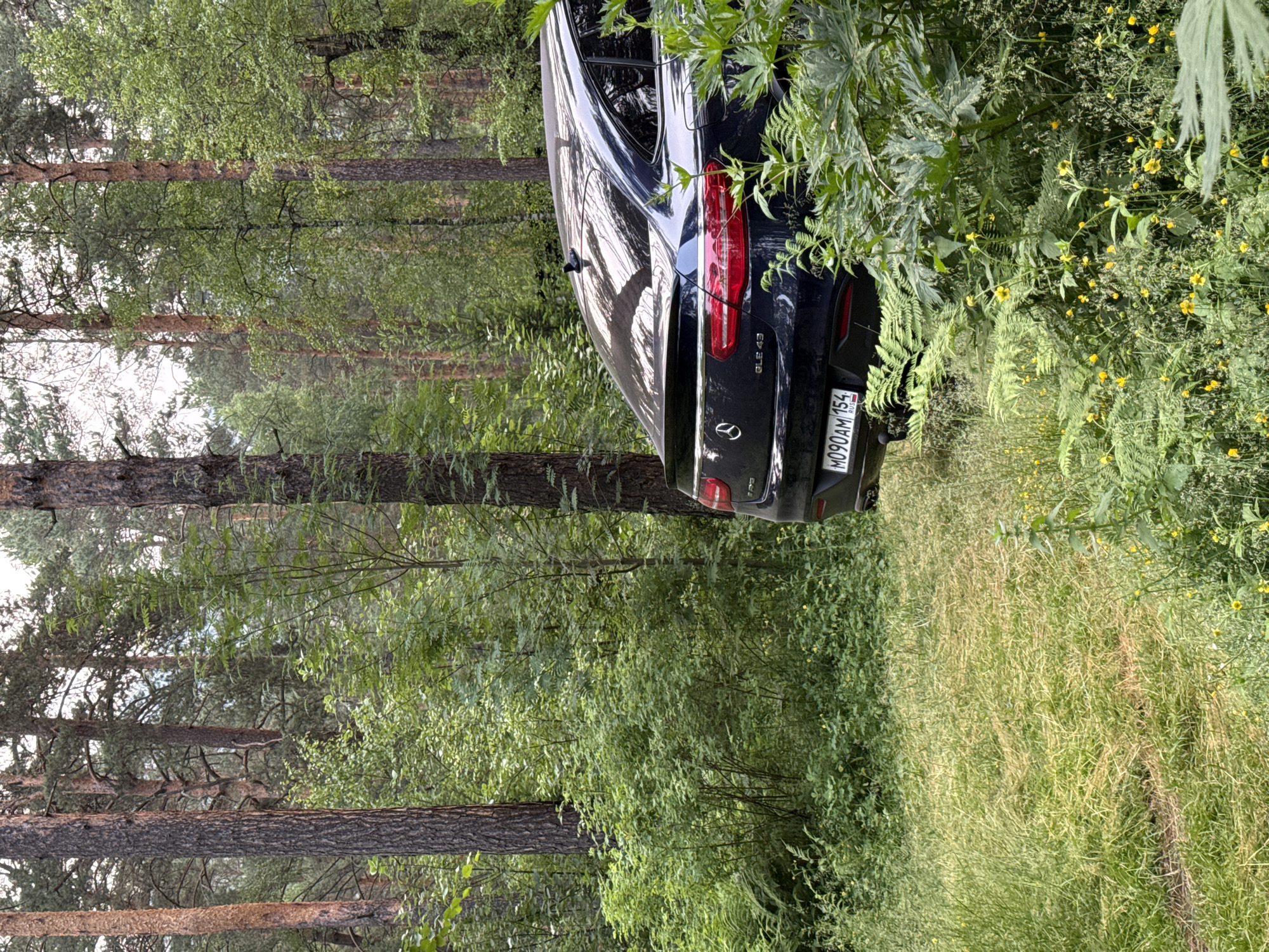A dark colored Mercedes-Benz GLE 43 coupe is parked on an overgrown grassy area within a dense forest. The car is oriented to the right, with its rear facing the camera. The license plate, M090AM 154, is visible. The forest consists of tall pine trees and dense undergrowth of various green plants, including ferns and small yellow wildflowers. The ground is covered in tall, dry grass with some patches of green. The lighting suggests it is daytime, possibly overcast. The location is Cheposh, Russia.