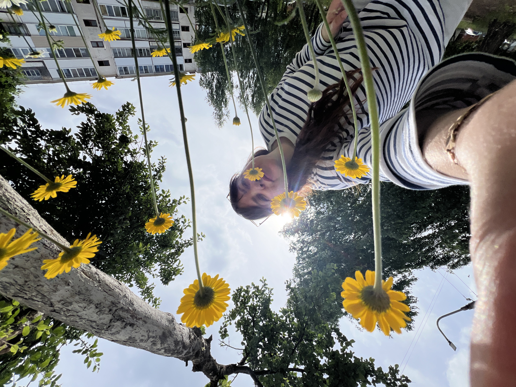 In Noviy, Russia, a young woman with long, dark hair is positioned low to the ground, looking up towards the sky. She is wearing a striped long-sleeved shirt and has a bracelet on her left wrist. Her head is slightly tilted, and she is smiling as she appears to be interacting with a cluster of yellow daisies that surround her. The perspective is from a low angle, emphasizing the height of the flowers and a large tree trunk to her right, with its branches and leaves reaching overhead. In the background, a light-colored apartment building with multiple windows is visible, along with some greenery and a street lamp. The sky is partly cloudy.