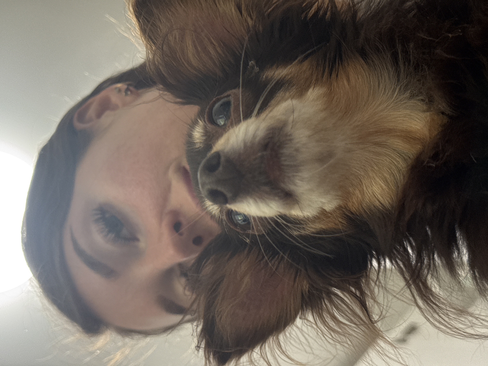 In this low-angle, close-up shot, a young woman is partially visible behind a small, long-haired dog. The woman, with dark hair and what appears to be makeup on her eyelashes, leans forward, her face mostly obscured by the dog. The dog, with brown and tan fur, is positioned in the foreground, looking upwards towards the camera with its mouth slightly open. Its eyes are visible and appear to be blue or light-colored. The background is indistinct and appears to be an indoor environment with a bright light source at the top of the frame. There is no discernible indication of the city of Chaikovsky, Russia, or any specific urban features in the image.