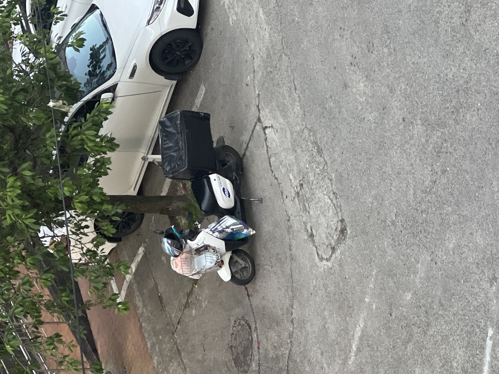 This image captures an outdoor urban environment, specifically a parking area in Sochi, Russia. The scene features concrete pavement, a tree, and two vehicles.
The ground consists of grey concrete, marked by a network of fine cracks and some larger fissures. A circular metal manhole cover is present in the left mid-ground. Faint, degraded white painted lines, indicative of parking space demarcation, are visible on the concrete surface. In the upper-left background, a section of an elevated walkway or platform is visible, paved with reddish-brown rectangular blocks and bordered by a metallic railing.
A deciduous tree with a visible brown trunk and dense green foliage stands in the middle-right of the frame, partially obscuring the background.
Two vehicles are present. A white four-door sedan, identifiable as a Kia Optima model, is parked on the right side of the frame. The vehicle features black multi-spoke alloy wheels, and its windshield reflects the tree and the sky. A light-colored, crumpled object, possibly a plastic bag or piece of fabric, is caught within the tree branches directly above the car's roofline. A portion of a second white vehicle is partially visible behind the sedan in the upper right.
In the lower-mid ground, a white scooter is parked on its kickstand. The scooter is equipped with a large, black, rectangular delivery box mounted on its rear rack. A metallic wire basket is attached to the front, containing a translucent pink plastic bag and a white plastic bag. A blue, black, and white helmet rests within the front basket area. The scooter's front fairing displays a decorative graphic featuring blue and purple tones. The letters "NSM" are visible on the right side panel of the scooter below the seat. A metal chain lies on the concrete surface, extending from the vicinity of the scooter's front wheel towards the left.
No individuals are present or observable within the depicted scene. No actions or interactions are occurring. The environment appears static.