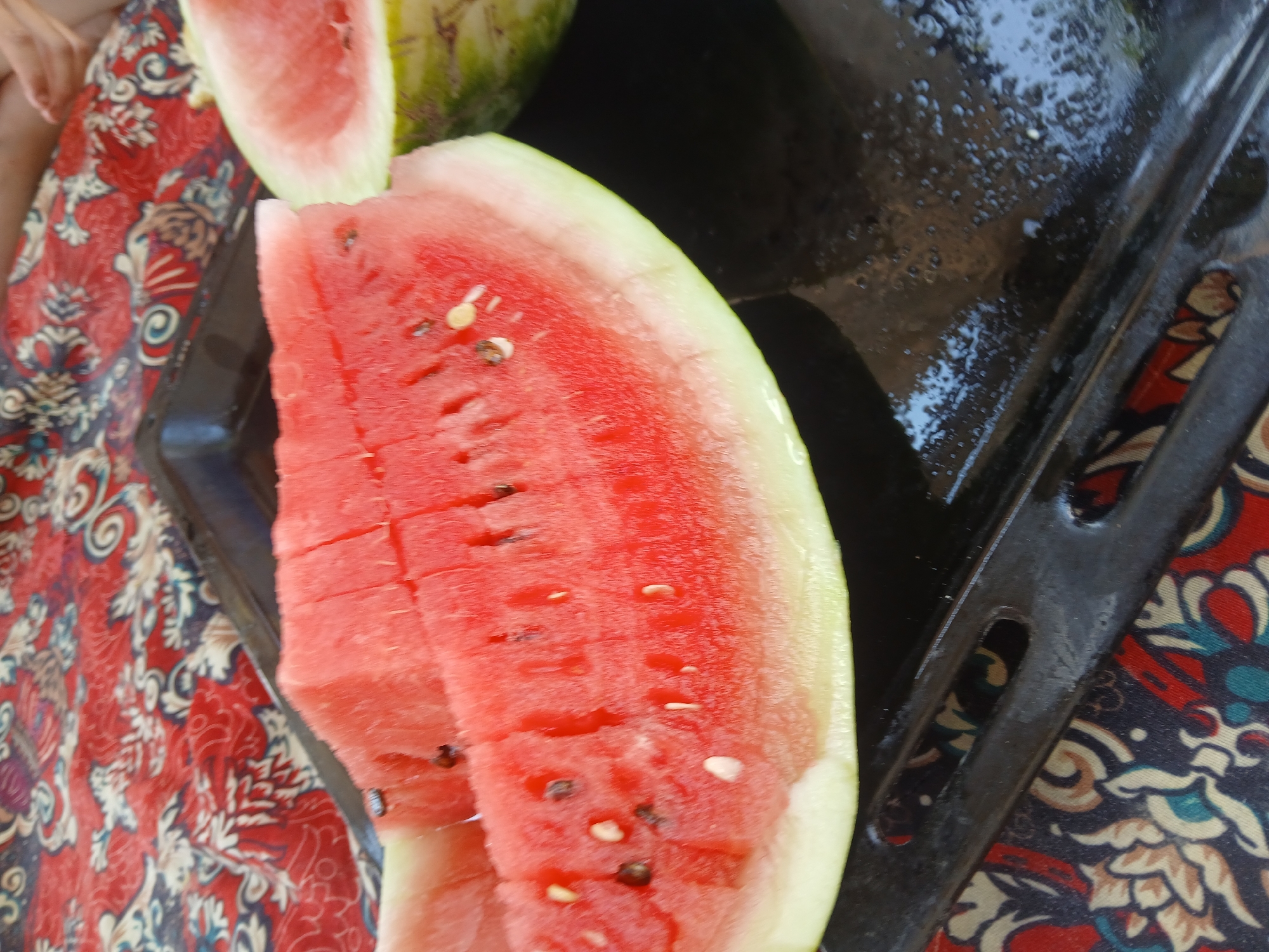 In Kotormo, Kyrgyzstan, two slices of watermelon are displayed on a black baking tray. The watermelon flesh is a vibrant red, interspersed with dark seeds and some lighter, possibly immature seeds. The rind is light green. The baking tray has a textured surface and is wet in places, with small bubbles visible. Beneath the tray, a patterned fabric with red, cream, and dark blue motifs is partially visible. A person's hand and arm are also visible in the upper right corner of the image, suggesting they are present at the scene. The overall setting appears to be outdoors, possibly during a meal or a picnic.