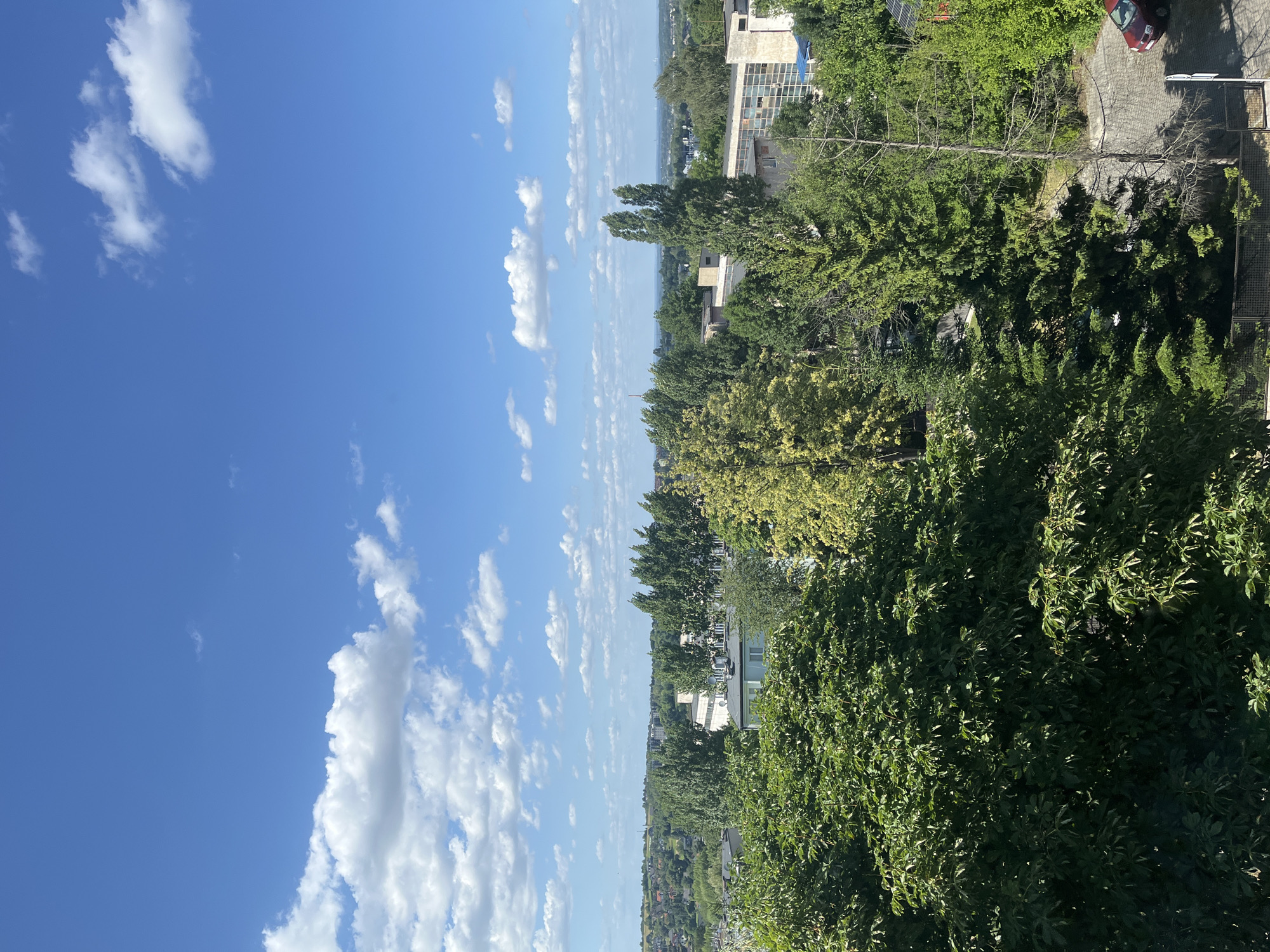 A high-angle, full shot captures a city landscape under a bright, blue sky dotted with scattered white clouds. In the foreground, a dense canopy of lush green trees dominates the lower portion of the frame, with their leaves creating a textured, varied surface. Beyond the trees, several buildings are visible, some appearing to be multi-story residential or administrative structures with a mix of concrete and glass facades. The architecture suggests an urban or suburban setting. In the mid-ground, a line of tall, slender trees with a lighter green foliage stands out against the sky, their branches appearing windblown. Further in the distance, the city extends into a hazy horizon, with more buildings and greenery visible, indicating a sprawling urban environment. A small red car is parked on a paved surface in the lower right corner of the image, next to a fence. The overall scene depicts a sunny day in a city, with a strong contrast between the vibrant natural elements and the built environment.