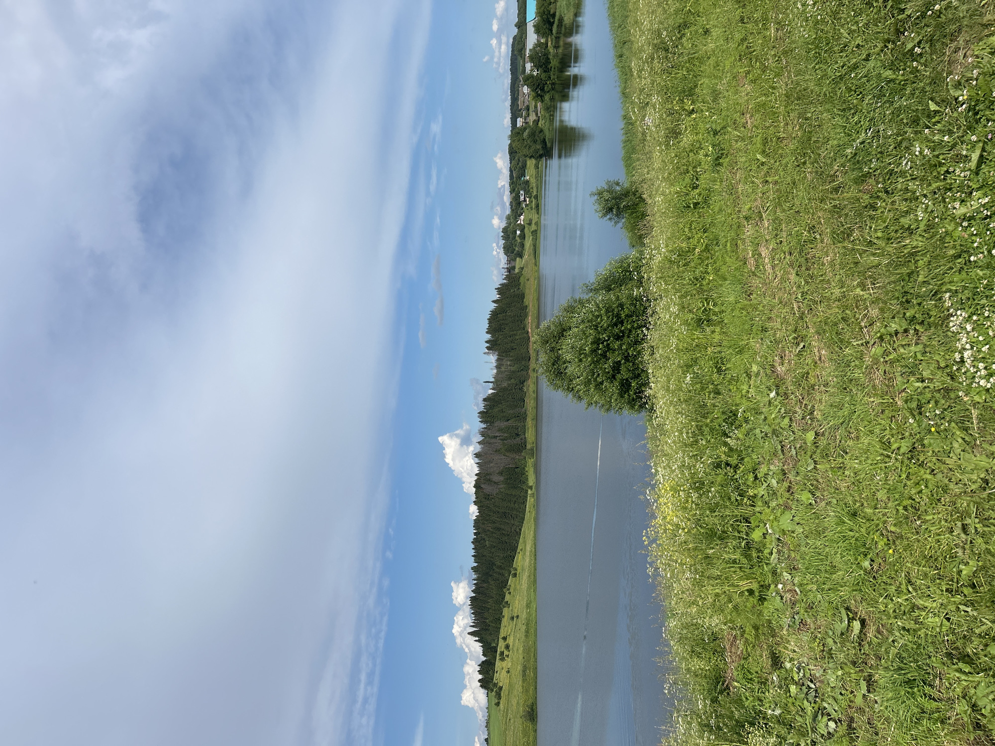 This is a vertical, wide-angle, outdoor photograph of a calm river flowing alongside a lush, green grassy embankment. The river reflects the bright blue sky, which is dotted with fluffy white clouds. On the far bank of the river, a dense line of dark green pine trees stretches into the distance. Beyond the trees, a small village with scattered houses and buildings can be seen. The grassy embankment in the foreground is covered in various green plants and wildflowers, some of which are white. The scene is illuminated by bright daylight, suggesting it is daytime. The overall impression is one of a peaceful, natural landscape. No people, objects, or text are visible in the image. The location is identified as Verkh-Rozhdestvo, Russia.