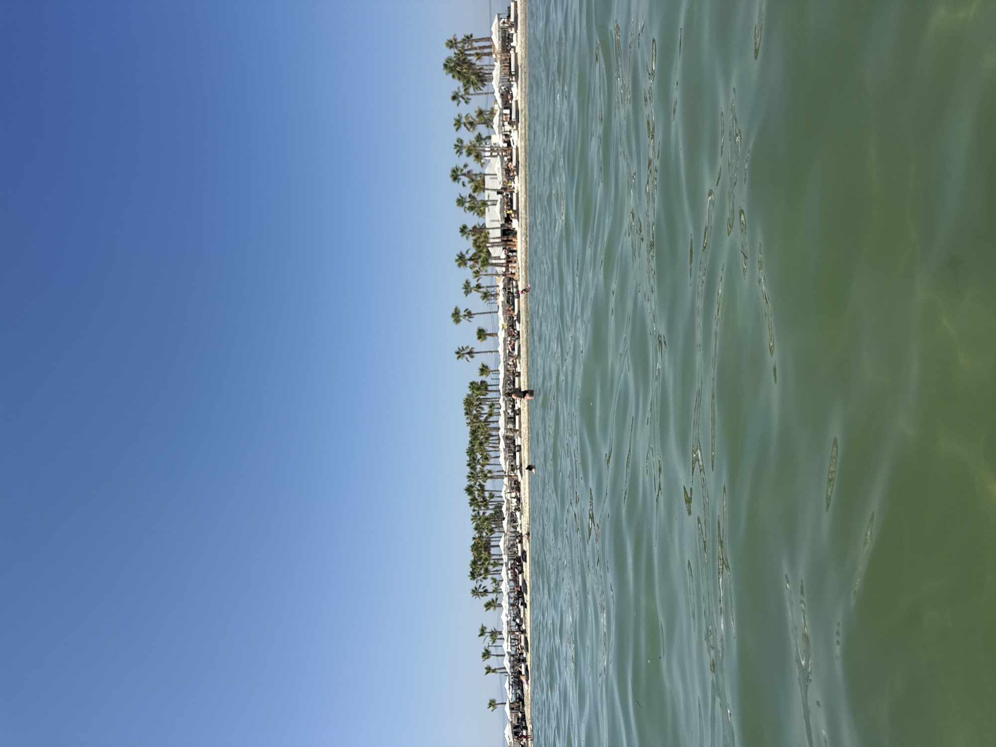 The image depicts a vibrant beach scene on a clear, sunny day, likely located within the Katerini Municipality of Greece, given the characteristic palm trees and the azure sky. In the foreground, the translucent green water of the sea gently ripples, revealing sunlight dappling the sandy bottom below.
The midground showcases a bustling beach lined with rows of white umbrellas and lounge chairs, indicating a popular tourist destination. A dense collection of tall palm trees forms a natural backdrop to the beach, their fronds swaying gently. Along the shoreline, numerous people are visible, some relaxing on loungers, others strolling, and a few are in the water. One individual is standing in the sea, appearing to be bathing, while others are further out in the water.
In the distance, a low-lying structure, possibly a beach bar or restaurant, is partially visible behind the umbrellas, with more palm trees extending towards the horizon. The sky is a uniform, brilliant blue, devoid of clouds, suggesting ideal beach weather. The overall atmosphere is one of a lively, well-established resort or popular public beach.