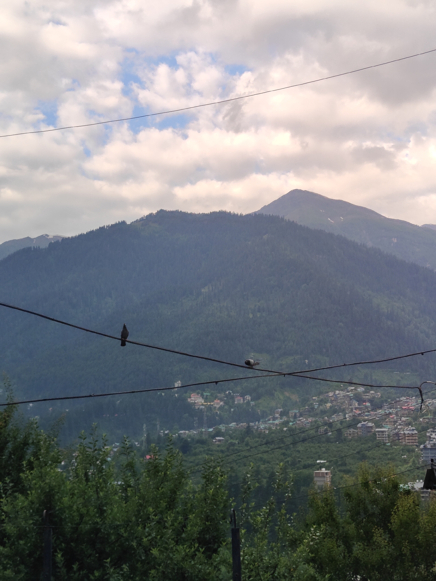 The image shows a mountain landscape with a town nestled on the slopes. In the foreground, there are lush green trees and power lines. Two birds are perched on one of the power lines. The mountain in the background is covered in dense forest. The sky is cloudy with patches of blue. The town appears to be densely populated with multi-story buildings. The scene suggests a location in the Himalayan region, likely Vashisht, India, given the presence of hills, trees, and architecture.