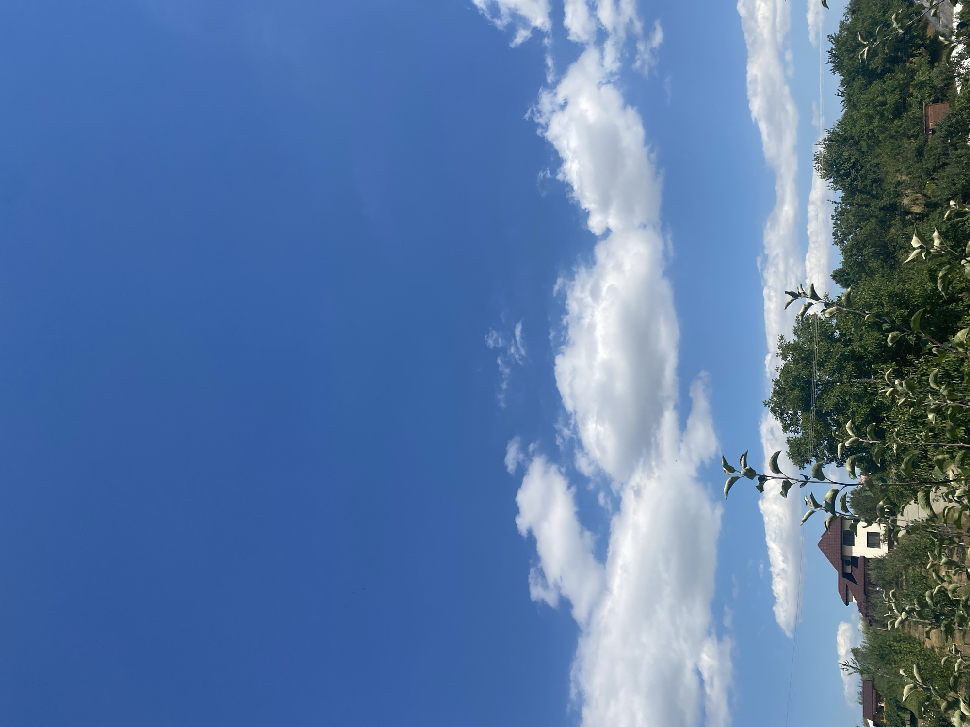 A low-angle shot captures a clear blue sky with scattered white clouds above a line of trees and residential buildings. In the foreground, young trees with sparse leaves are visible, with some branches reaching towards the top of the frame. Behind them, a dense line of mature green trees forms a natural barrier. Nestled among the trees, to the left of the frame, is a multi-story house with a dark red, gabled roof and white walls. A small, white rectangular structure is visible on the side of the house. The overall impression is a peaceful, rural setting, possibly in a suburban or countryside area. The scene is static, with no people or animals present. The lighting suggests a bright, sunny day.