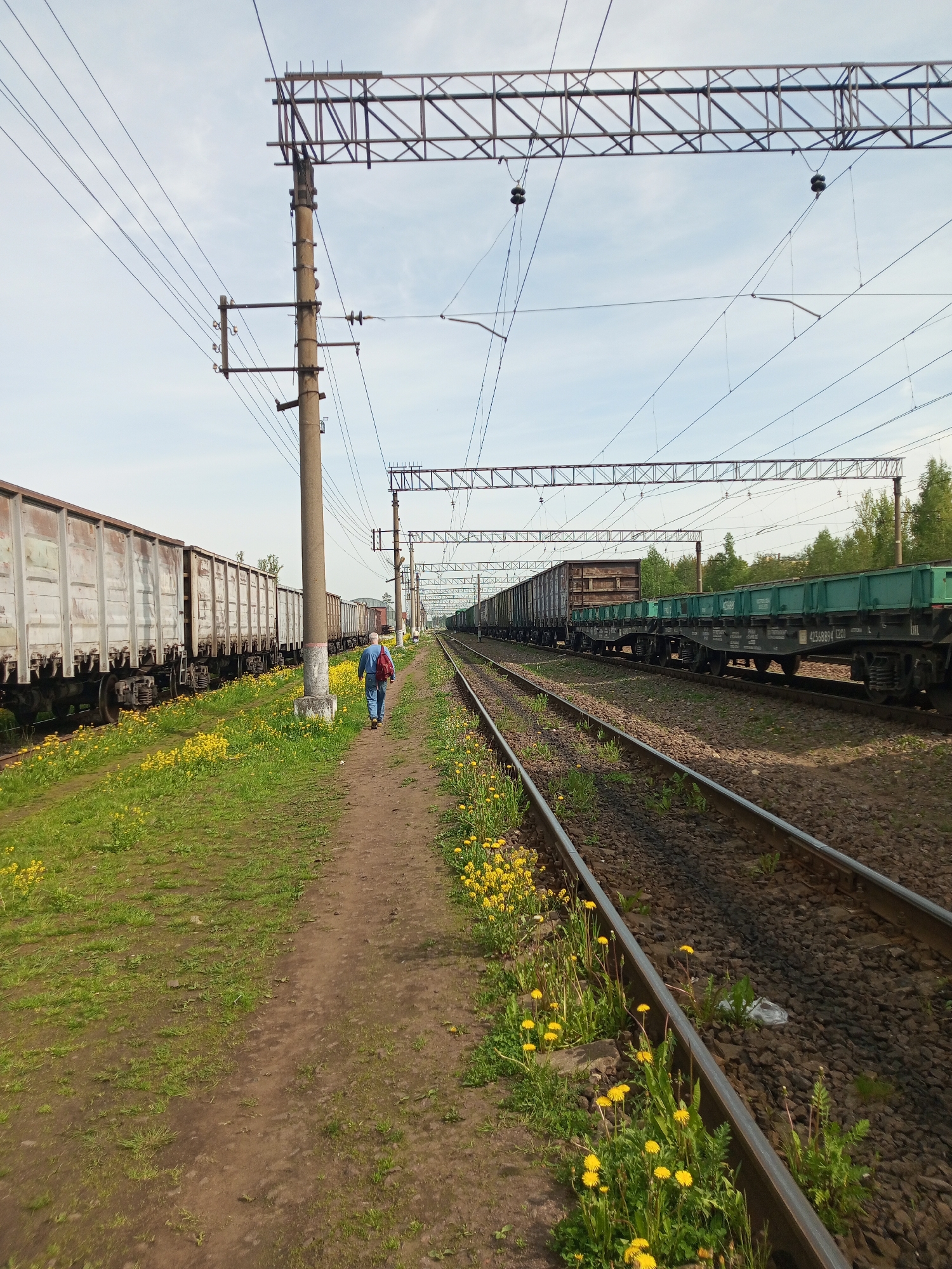 The image shows a railway siding in Kommunar, Russia, with a person walking between two lines of parked freight cars. The individual, facing away from the camera, wears a blue shirt, pants, and a red backpack. A dirt path runs along the tracks, bordered by grass and yellow dandelions. Overhead, electrical wires and metal supports span the tracks. To the left are mostly white freight cars, and to the right are brown and green ones. The scene takes place during the daytime under a cloudy sky.