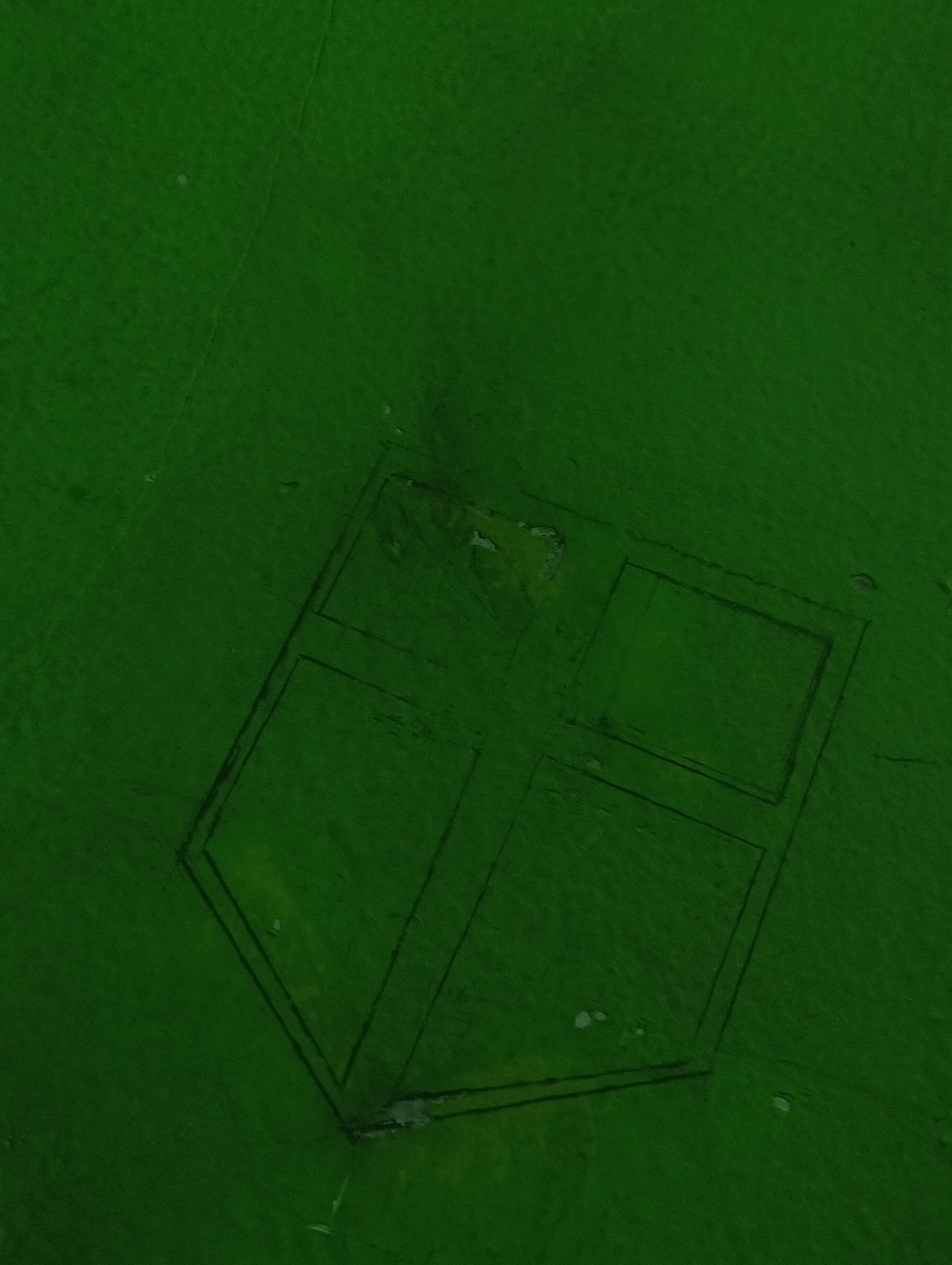 This is an aerial, high-angle, low-resolution image of a green, textured surface, possibly a field or a rough textile. A dark, geometric pattern is superimposed on the surface, resembling a square divided into four smaller, unequal rectangular sections by intersecting lines, with an additional outer boundary creating a hexagonal shape. The pattern appears to be imprinted or drawn onto the surface and is darker than the surrounding material. There are no people, animals, or other discernible objects present. The environment is uniformly green with subtle variations in texture and possibly some minor blemishes or lighter spots on the surface. The image is monochromatic and abstract, focusing solely on the pattern and its immediate surroundings.