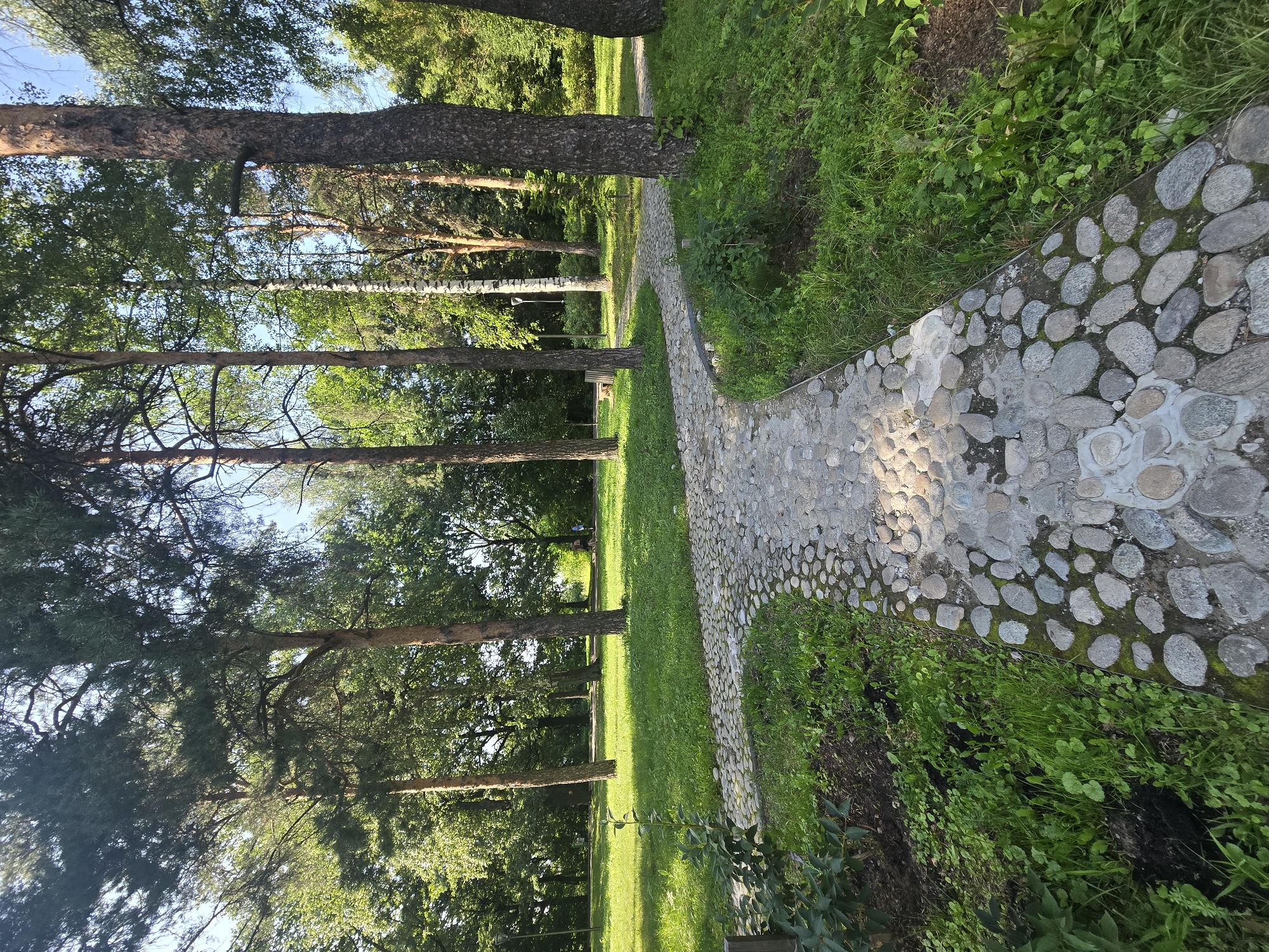 A stone pathway winds through a park with tall trees and lush green grass. The pathway is constructed from smooth, rounded river stones of varying sizes, laid in a textured mosaic pattern. Sunlight dapples the path, creating bright highlights and soft shadows. The surrounding area is a vibrant green, with manicured lawns and dense foliage. Several mature trees, including pines and birches with distinctive white bark, stand prominently throughout the park. The sky above is a clear blue, suggesting a bright and pleasant day. In the background, faint figures of people can be seen walking, indicating the park is a public space. The scene depicts a well-maintained urban park setting, likely in Nizhny Novgorod, Russia, offering a serene natural environment for recreation.