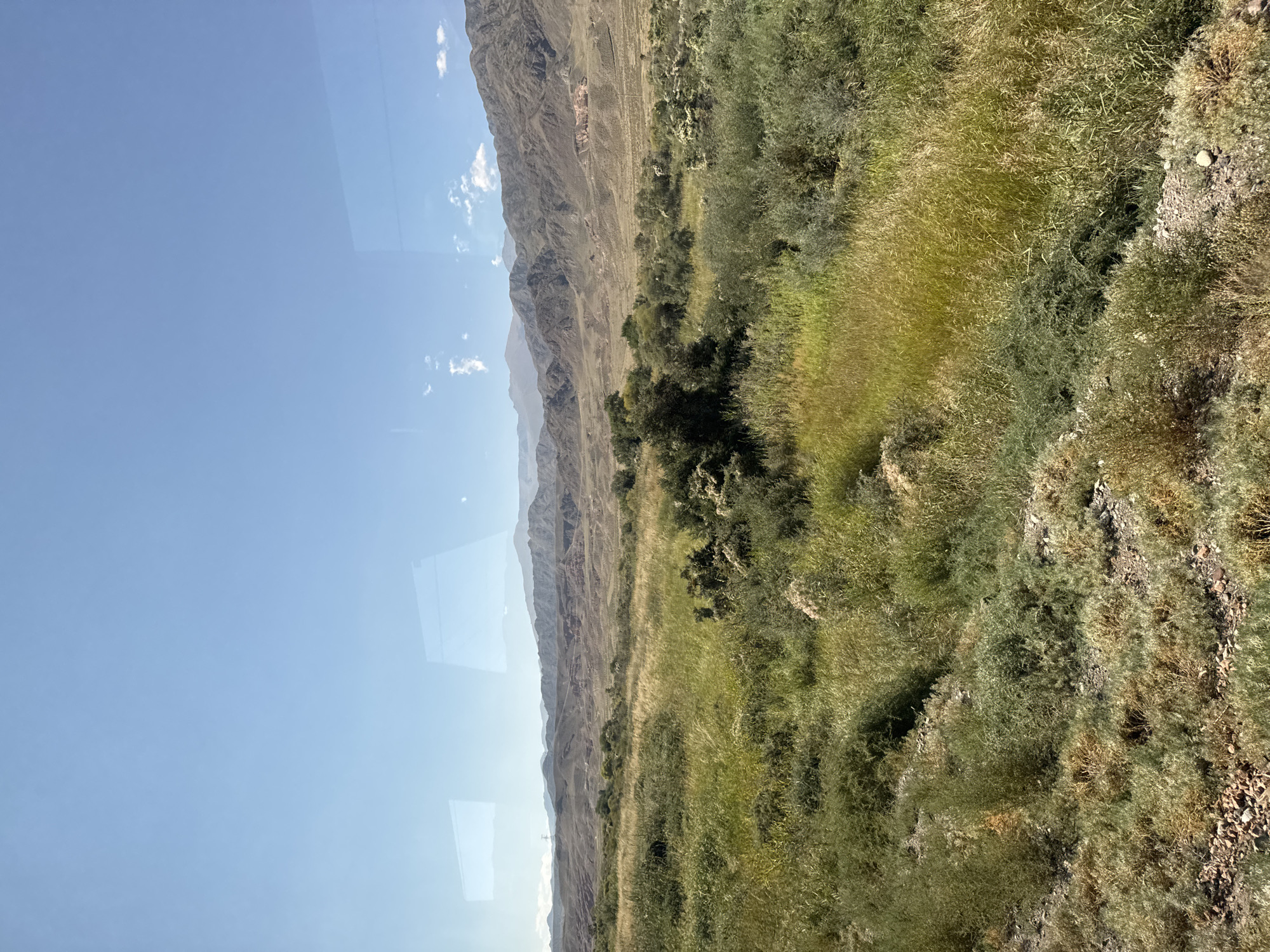 This is an eye-level, wide shot of a rural, mountainous landscape. The sky is a clear, pale blue with a few wispy white clouds in the distance. The foreground is dominated by a field of dry, yellow-green grass and scattered low-lying bushes. In the middle ground, there are more dense bushes and some scattered trees. Beyond the field, rugged, barren mountains stretch across the horizon, appearing shades of brown and gray. Some of the mountains show signs of erosion and reddish-brown rock formations. The scene is likely captured during daylight on a clear day. The image appears to be taken from a moving vehicle, as evidenced by the subtle reflections on the left side of the frame, suggesting a window. The location is identified as the city of Unknown, Kyrgyzstan.