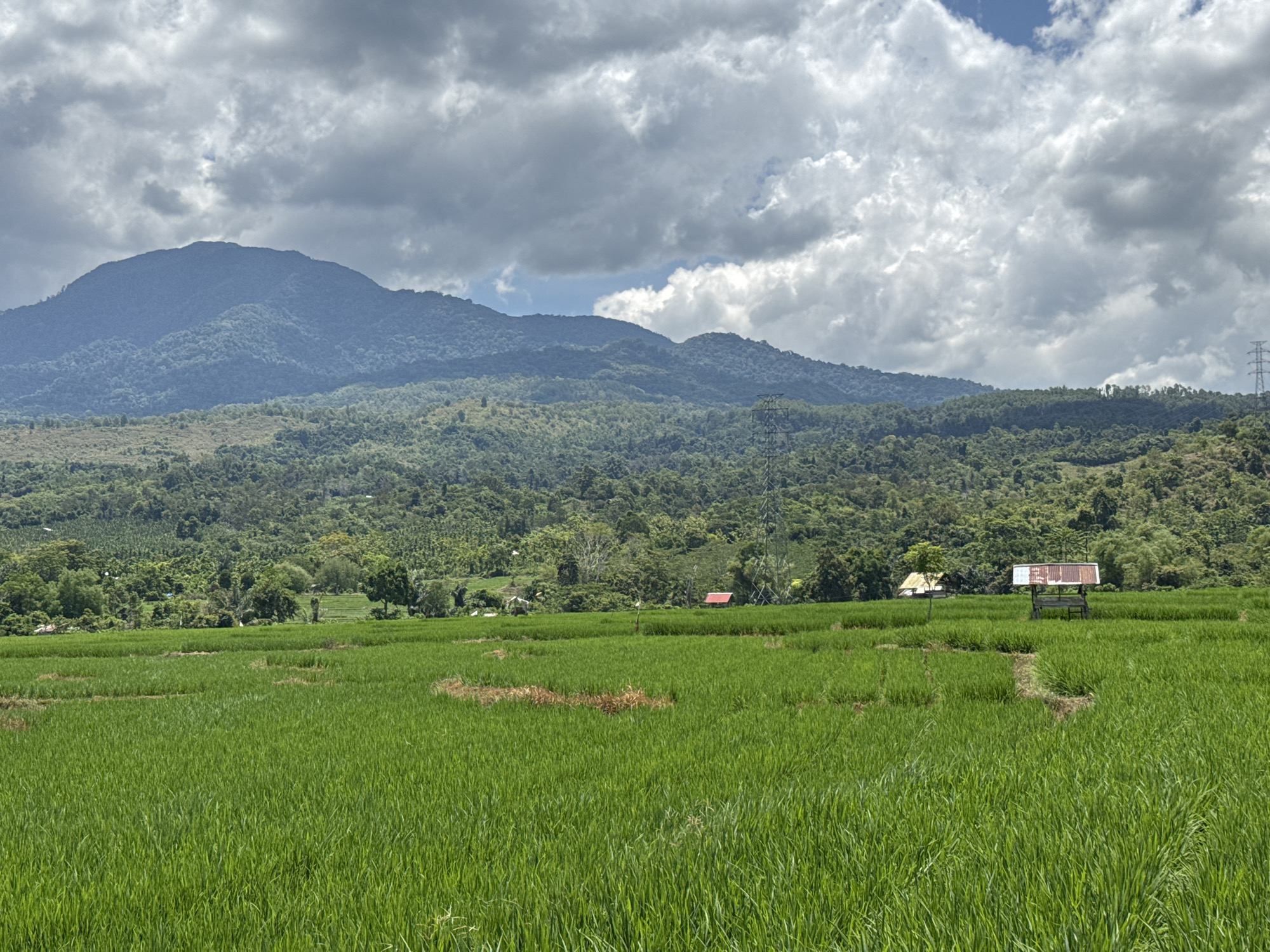 The image depicts a vast expanse of lush green rice paddies stretching across the foreground. In the mid-ground, several small structures are visible, including a rustic hut with a corrugated metal roof and a single-story building with a red roof. These structures are nestled amongst the greenery, suggesting a rural setting. Beyond the fields, rolling hills covered in dense vegetation rise towards a majestic mountain range that dominates the background. The sky above is a dramatic canvas of swirling grey and white clouds, with patches of blue sky peeking through, hinting at dynamic weather conditions. The overall scene evokes a sense of natural beauty and tranquility, characteristic of agricultural landscapes in Indonesia. The location is identified as Lamtamot, Indonesia.