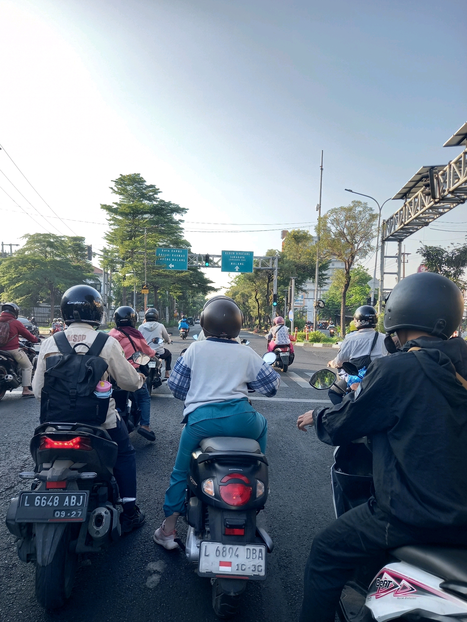 The image captures a street scene in Surabaya, Indonesia, likely at an intersection, with multiple motorcycles and riders. The perspective is from behind a rider, looking forward at a traffic light and a road sign. The traffic light appears to be green for the direction of travel. Overhead signs indicate destinations: "Raya Darmo, Basuki Rachmad, Embong Malang" and "Kebun Binatang (Zoo), Surabaya, Malang". The sky is clear and bright, suggesting daytime. The road surface is asphalt, and trees line the sides of the street. Several motorcycles are visible, some with riders wearing helmets and casual clothing. One motorcycle has a license plate reading "L 6648 ABJ 09.27". Another license plate visible is "L 6894 DBA 10-3C". The overall impression is a busy urban environment with a common mode of transportation.
