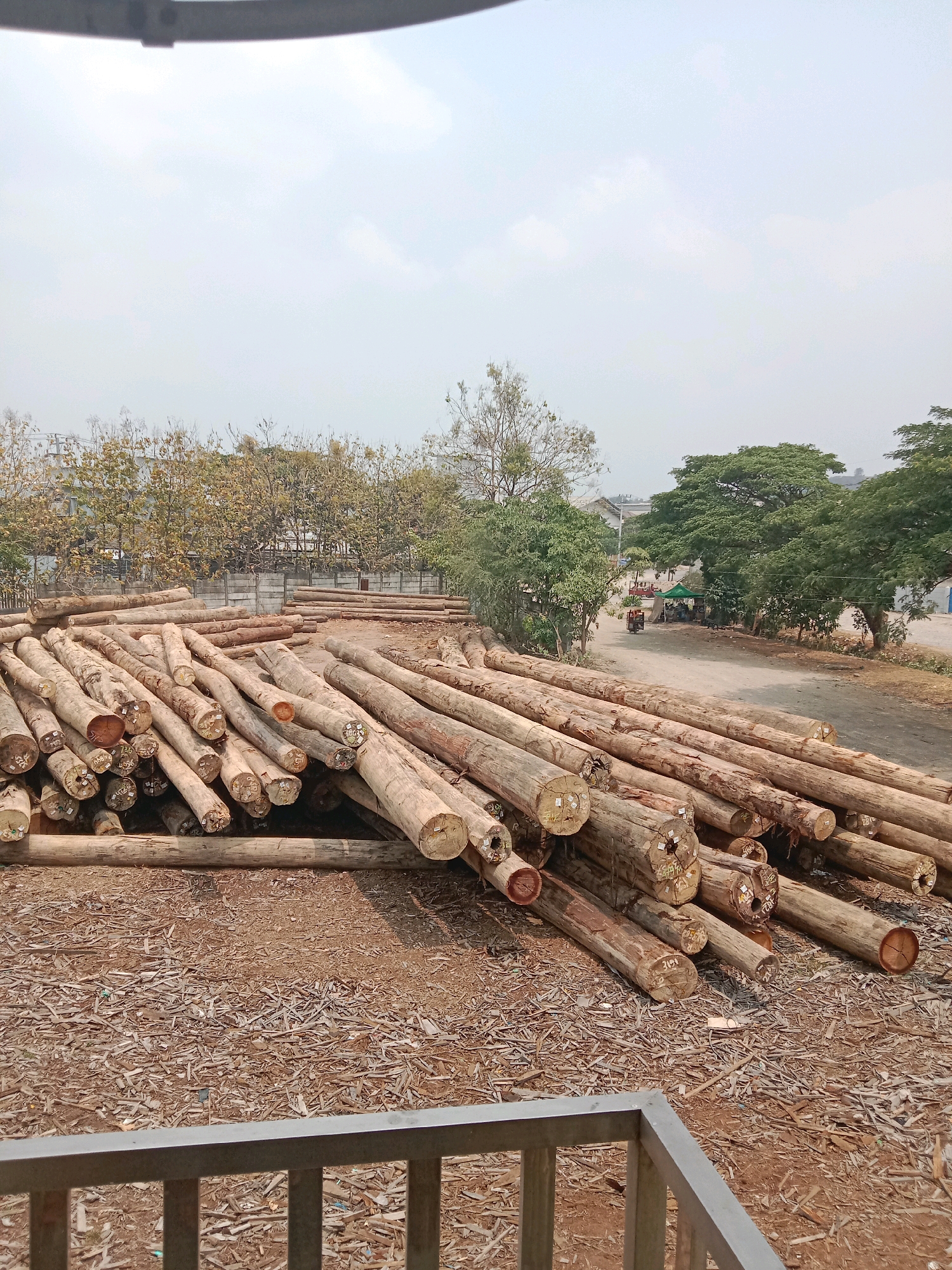 This image depicts a large outdoor storage yard filled with numerous logs. The logs are stacked in piles and scattered across the ground, which is covered with dirt and wood debris. In the background, there is a row of trees and a concrete wall, suggesting an industrial or processing area. Further in the distance, there are buildings and a road with a few vehicles, including a small truck or cart. The sky is overcast, indicating a cloudy day.
While the image is not explicitly geotagged to Semarang, Indonesia, the presence of what appears to be a lumber yard or timber processing facility is consistent with industrial areas found in many cities. The type of trees and vegetation could also be indicative of Southeast Asian climates. However, without specific visual cues or landmarks that are uniquely identifiable to Semarang, it is impossible to definitively confirm the location. The scene is devoid of any identifiable individuals actively engaged in work or any specific interactions.