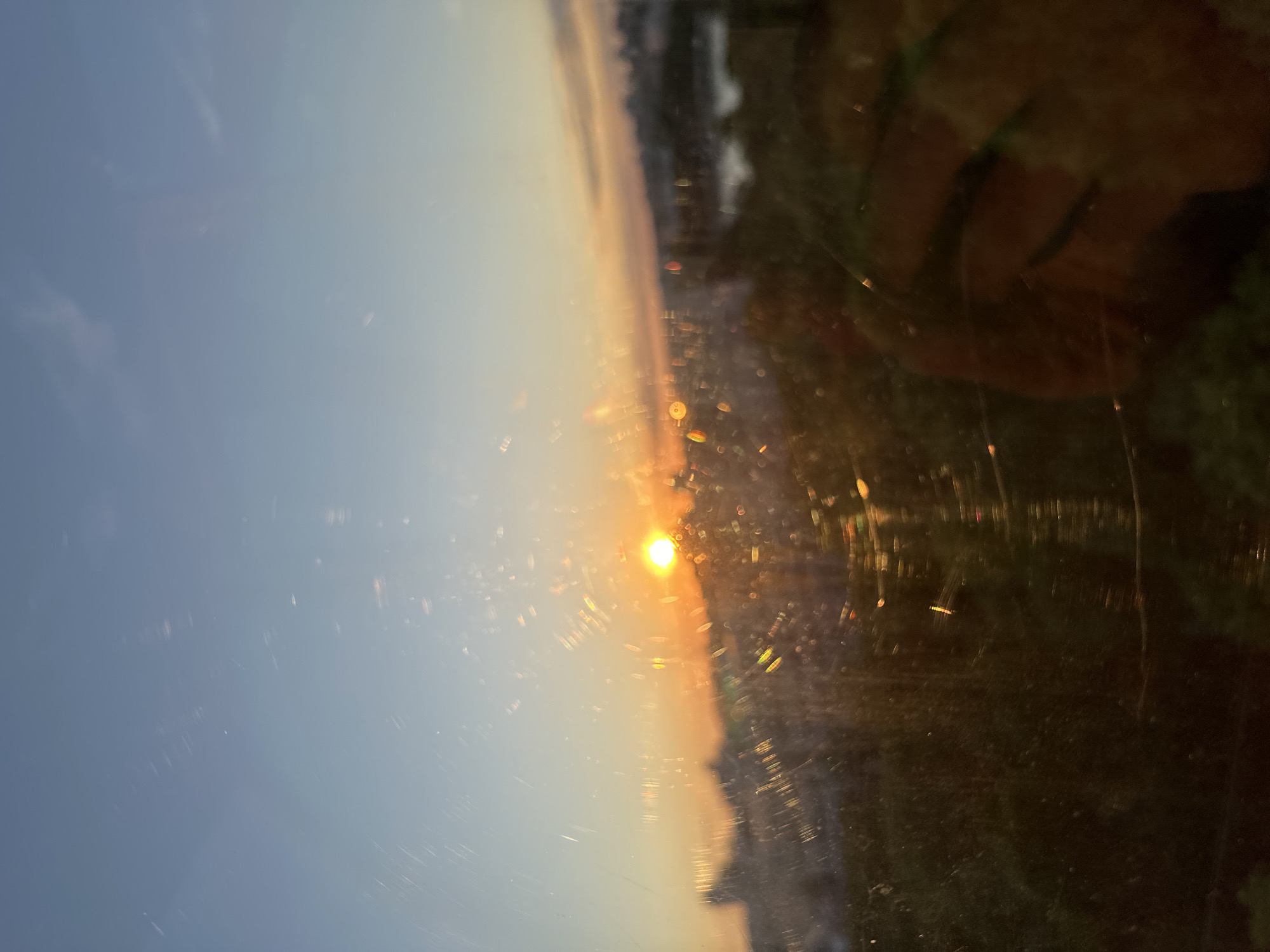 An outdoor scene captures a sunset or sunrise over a distant horizon in Minsk, Belarus, viewed through a dirty or scratched window or glass surface. The image is oriented in portrait mode, with the bright, glowing sun positioned strongly to the right, casting a vivid orange and yellow light across the sky. Lens flares and light streaks emanate from the sun. The sky transitions from a soft blue on the left to warm orange and yellow tones closer to the sun, with a faint horizon line visible in the distance.
Numerous dust particles, scratches, and smudges are visible across the entire photographic surface, indicating a barrier between the camera and the scene. A prominent reflection of a human hand, specifically fingers and part of a palm, appears in the upper right quadrant (as oriented), a reddish-brown shape against the darker background elements. Other dark, blurry shapes are visible in the background, likely representing distant trees, buildings, or landmasses, heavily obscured by glare and reflections. The overall impression is a vibrant natural light event captured despite significant visual interference from the foreground surface. There is no visible text in the image.