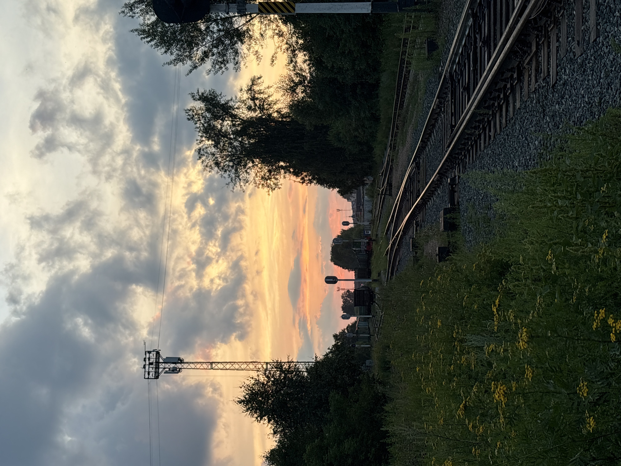 The image depicts a railway yard at dusk, with a dramatic sky filled with colorful clouds. Several sets of train tracks stretch into the distance, bordered by lush green vegetation and trees. In the foreground, a field of small yellow flowers adds a splash of color to the scene. A tall communication tower stands to the left, and several train cars are visible further down the tracks. Signal lights are also present along the railway. The overall atmosphere is serene and natural, with a hint of industrial presence due to the railway infrastructure.