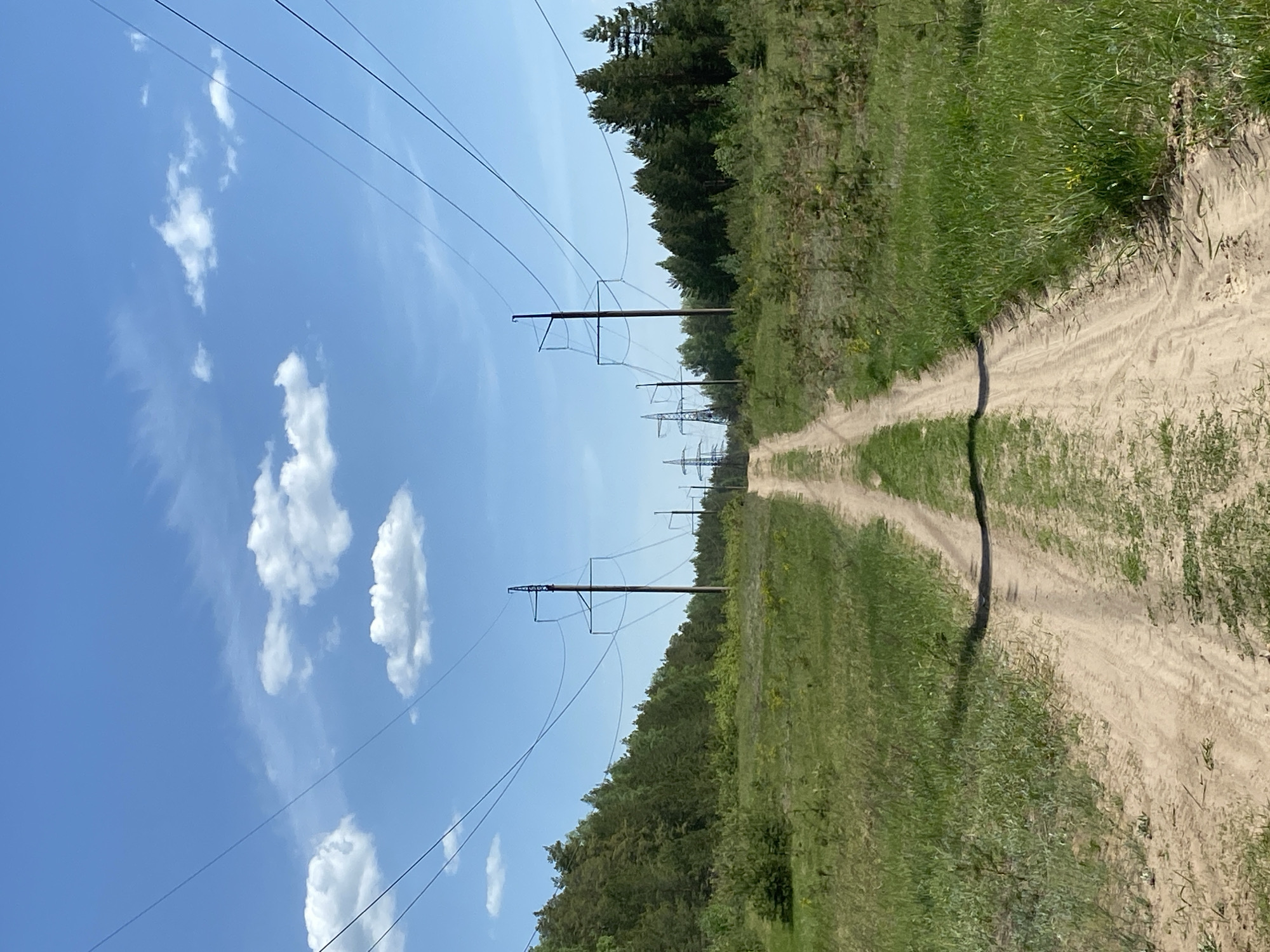 A landscape scene shows a dirt road extending into the distance with grass and trees on either side. Power lines run overhead, supported by utility poles placed along the roadside. The sky is blue with scattered white clouds. The scene appears to be located in a rural or undeveloped area of Noviy, Russia.