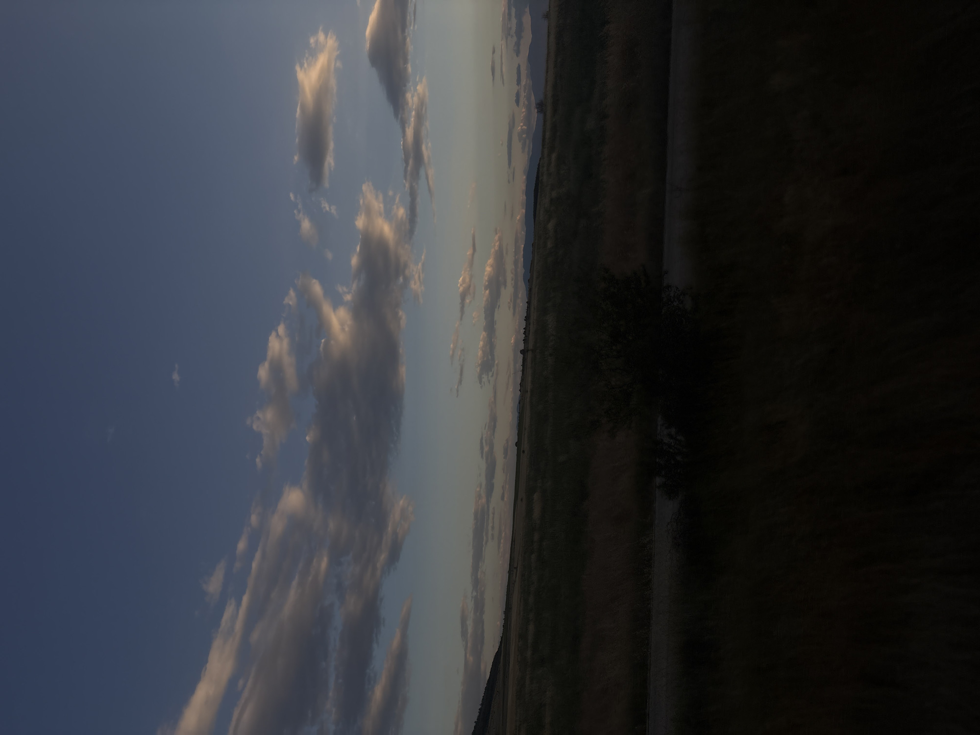 The image captures a dusky landscape near Tsar Asen, Bulgaria. The sky is a deep blue with scattered, wispy clouds tinged with sunset colors of pink and orange. Rolling hills dominate the middle ground, covered in dry, golden grasses and vegetation, indicative of a late summer or early autumn scene. A dark, dense bush stands out against the lighter hues of the hillside. In the foreground, the vegetation is even darker and appears blurred, suggesting motion or low light conditions. A faint, horizontal line, possibly a dirt road or path, is visible across the middle of the frame, cutting through the grassy expanse. Distant mountains are silhouetted against the horizon. The overall impression is one of a serene, rural evening.