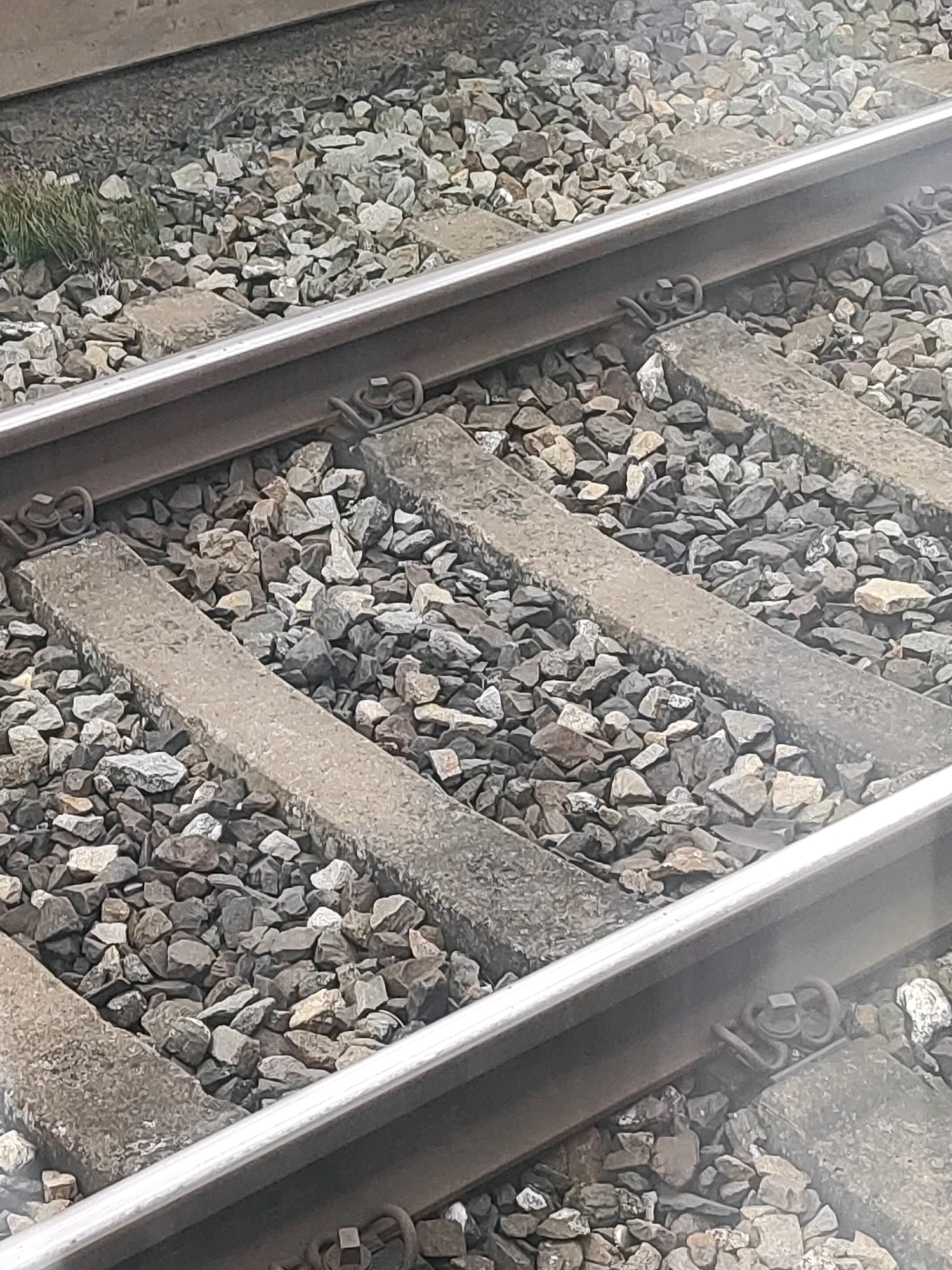 This is a close-up, eye-level, medium shot of a railway track, likely in Petersaurach, Germany, due to the context provided. The image shows two parallel steel rails supported by concrete sleepers, which are embedded in a bed of grey ballast stones. The ballast stones are of varying sizes and shapes, with some smaller grey rocks and larger, irregularly shaped grey stones. The sleepers are rectangular and appear weathered, with some moss or dirt on their surfaces. Metal clips or fasteners are visible securing the rails to the sleepers. The overall environment suggests an outdoor, industrial setting. No people or specific actions are depicted.