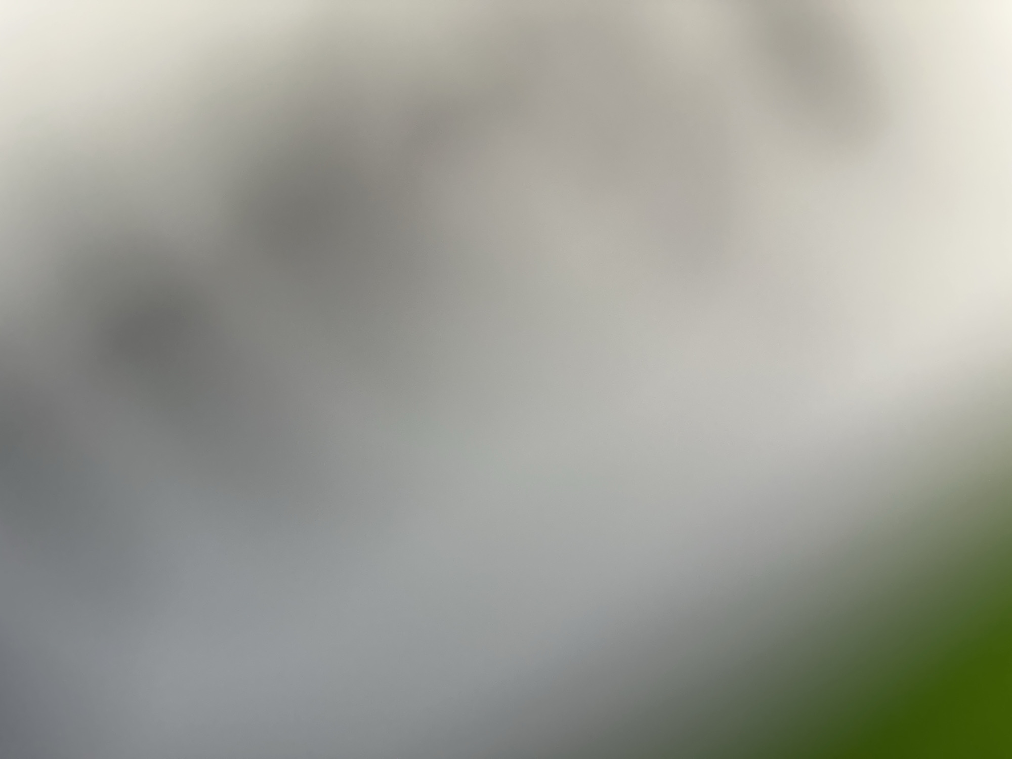 This is a photograph with a blurred foreground and a bright, out-of-focus background. The primary subject appears to be a light-colored, possibly white or very pale gray, surface that occupies the majority of the frame. There are darker, indistinct shapes or shadows superimposed on this light surface, suggesting an object or objects casting shadows. These shadows are soft and diffused, indicating either a diffuse light source or significant distance from the object.
Towards the bottom right of the image, there is a gradient of color change, transitioning from a muted gray to a more vibrant, out-of-focus green. This green area could represent foliage or another natural element, seen at a distance or through a shallow depth of field.
The overall impression is abstract due to the blur. It's difficult to determine specific objects, people, or a definitive scene. The lighting appears to be bright, possibly indicating daytime. Without sharper details, it's impossible to ascertain the specific time of day, weather conditions, or precise location beyond the provided context of Belgrade, Serbia. No text is visible in the image. The mood is neutral and serene due to the soft focus and gentle color transitions. The image might be a macro shot of a textured surface with shadows, or a landscape with a very shallow depth of field.