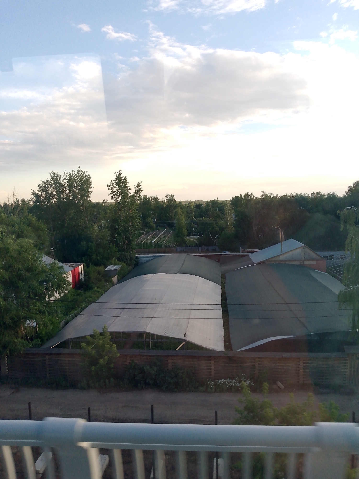 The image captures an outdoor scene on a cloudy day, likely in the late afternoon or early evening given the soft lighting. The primary subjects are a series of agricultural greenhouses with curved, translucent roofs, suggesting a horticultural or farming operation. These structures are spread across the landscape, some appearing to be covered with netting or a protective fabric.
In the mid-ground, several trees and some smaller buildings are visible, including a structure with red and white siding. The overall setting appears to be a rural or semi-rural area, characterized by greenery and open space. The foreground is partially obscured by a light-colored railing, possibly part of a bridge or elevated walkway, suggesting the viewpoint is from an elevated position looking down onto the scene.
There are no visible people in the image, and the activity appears to be the passive observation of a farming landscape. The weather seems to be overcast with scattered clouds, creating a diffused light. Location cues are limited to the provided context of Astana, Kazakhstan, which suggests the climate and vegetation might be typical of that region. There is no visible text within the image. The overall mood is serene and observational, with no strong emotional cues.
