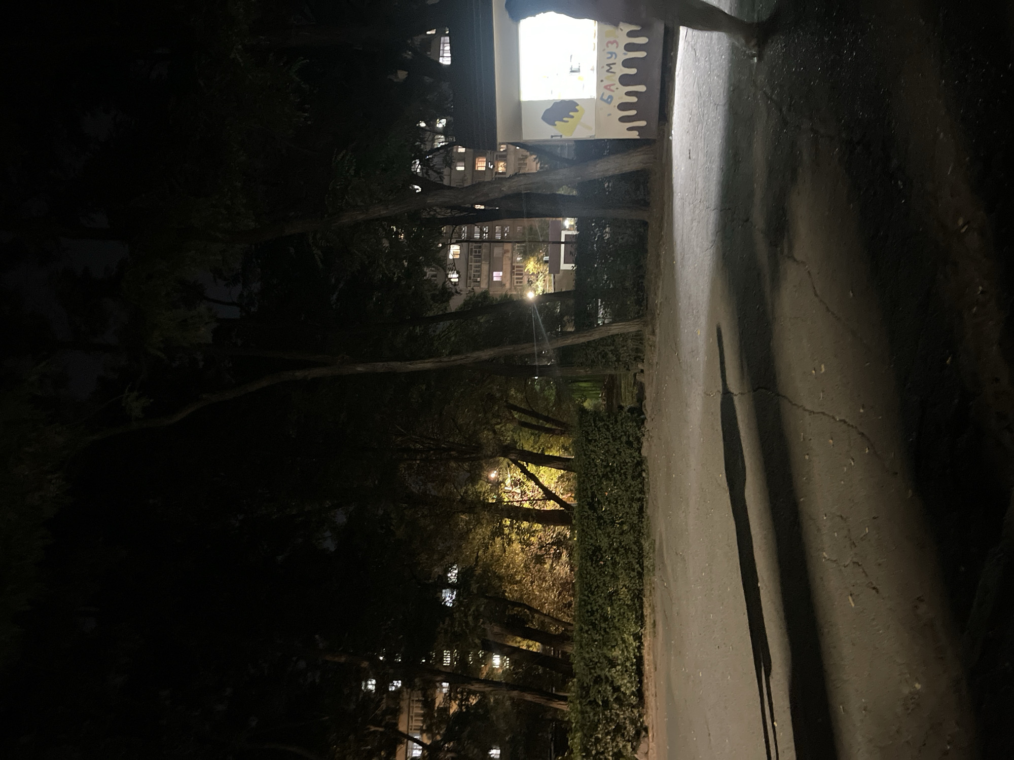 This image depicts an outdoor scene at night, possibly in an urban park or residential area. In the background, apartment buildings with illuminated windows are visible. In the foreground, a small, brightly lit kiosk with an awning is present, featuring decorations that resemble melting ice cream. Some text is visible on the kiosk, which appears to be in Cyrillic script. A person is partially visible on the right side of the frame, standing near the kiosk and casting a shadow. The ground is paved and shows cracks. Trees with foliage are scattered throughout the scene, casting shadows on the ground. The overall lighting suggests it is nighttime, with artificial lights from the buildings and the kiosk illuminating the area. The location is the city of Bishkek, Kyrgyzstan.