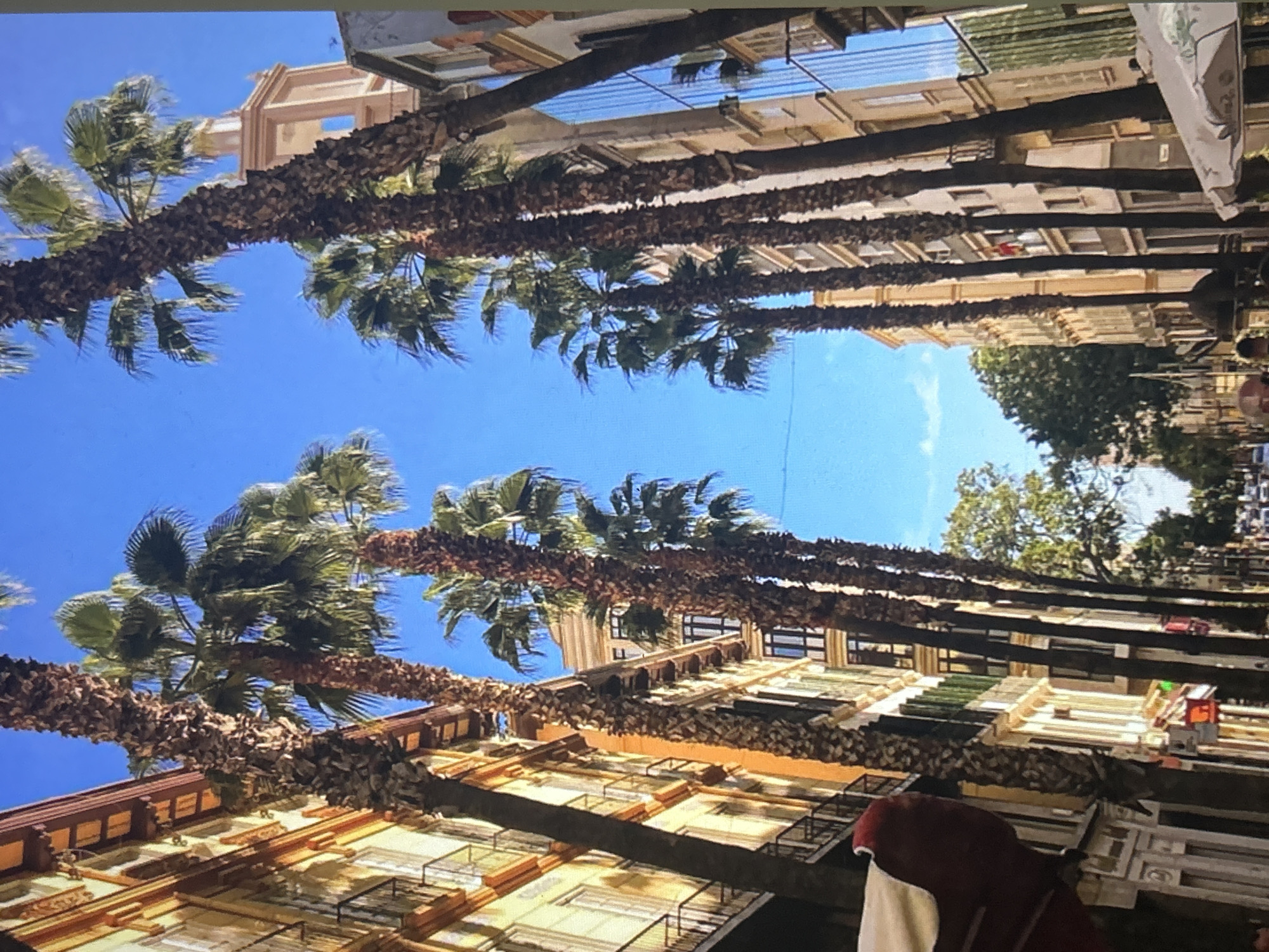 A low-angle urban street scene in Málaga, Spain, captured on a clear, sunny day under a bright blue sky. The street is flanked on both sides by multi-story buildings and numerous tall palm trees with rough, dark brown trunks and green fronds. On the left, a light yellow-cream building with orange architectural accents and balconies with black railings is partially obscured by palm trees. A red awning is visible in the lower left. On the right, a row of buildings includes one with large, reflective glass windows. More palm trees line this side of the street, and a white outdoor umbrella is visible in the lower right. In the upper right background, a distinctive light-colored, octagonal tower with a domed top, characteristic of a historical building or church spire (likely the Málaga Cathedral), rises above the rooftops. The street recedes into the background, showing additional foliage and indistinct figures or vehicles.