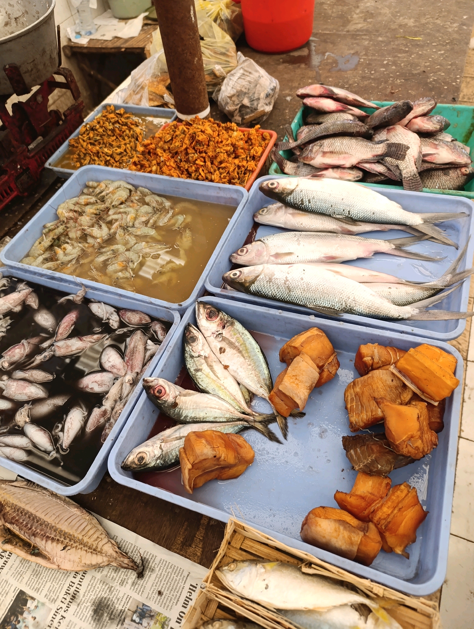 The image shows a fish market stall in Glagah Sari, Indonesia. Various types of seafood are displayed in blue and green plastic containers. In the foreground, several whole, silver-skinned fish are laid out on top of a newspaper. To the right of these fish is a container filled with chunks of smoked fish, appearing golden brown. Above this, a container holds several small, silver fish with visible red eyes. Another container features squid and small fish in dark liquid. Further back, a container holds a pile of cooked shrimp in a light-colored liquid. On the left, two containers are filled with what appears to be dried shellfish or mussels, one a darker orange and the other a lighter yellow. A red bucket is visible in the upper right corner, and a rusted pipe stands vertically behind the containers. The ground appears to be wet, suggesting a damp environment typical of a fish market. There are no people visible in the image, and no direct interactions are depicted.