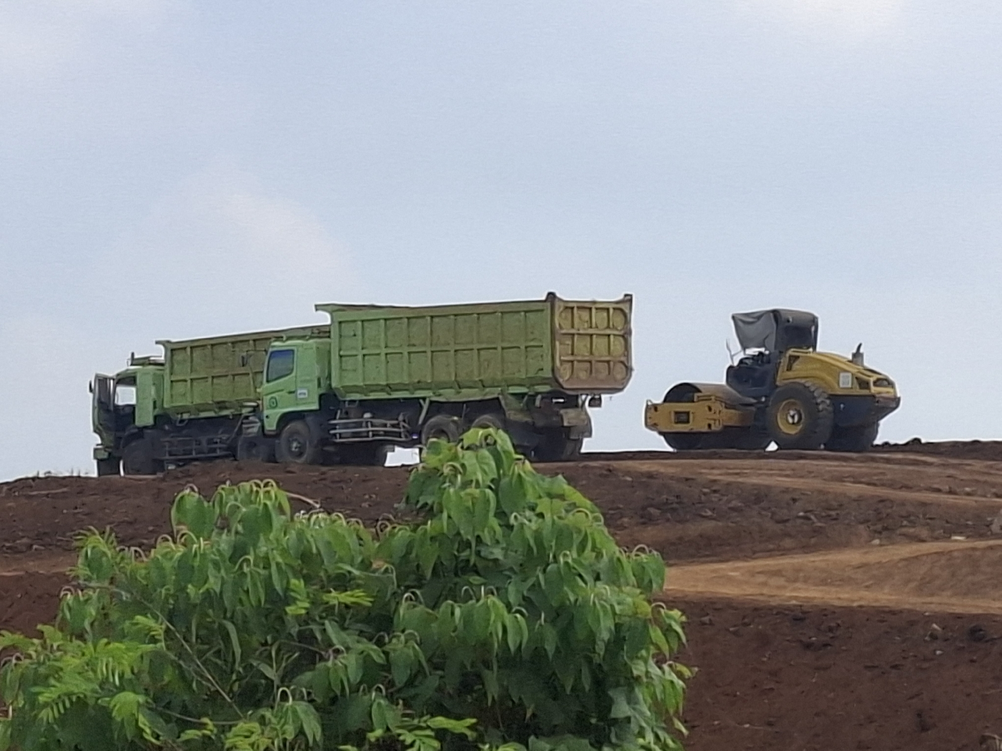 Two green dump trucks are parked on a dirt road, side by side, with their beds raised. To the right of the dump trucks, a yellow steamroller is positioned on a higher level of the dirt road. The vehicles appear to be at a construction site in Ciheulang Tonggoh, Indonesia, as indicated by the context. The foreground is partially obscured by lush green foliage. The sky is overcast.