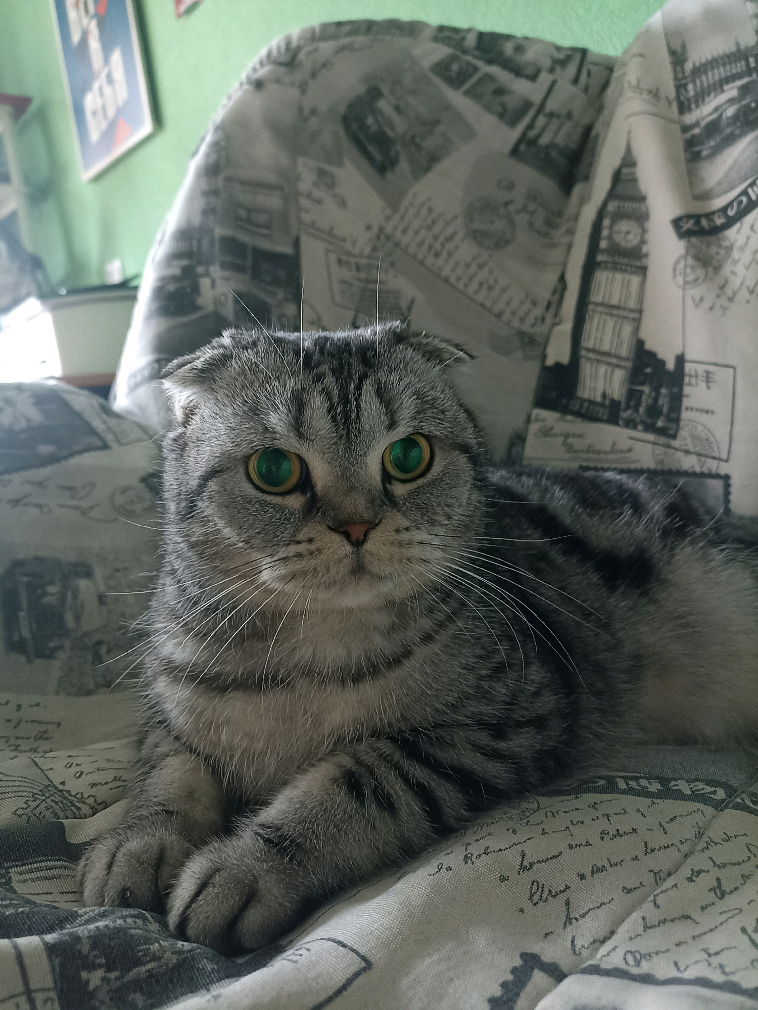 A Scottish Fold cat with bright green eyes and tabby markings is lying on a patterned fabric with an image of London landmarks. The cat is positioned in the center of the frame, facing the camera. The fabric is light-colored with a repeating pattern of black and white images, including Big Ben and other architectural elements. In the background, a green wall is visible, along with a portion of a framed poster. The lighting suggests an indoor setting. There is no indication of Novosibirsk, Russia, in the image.