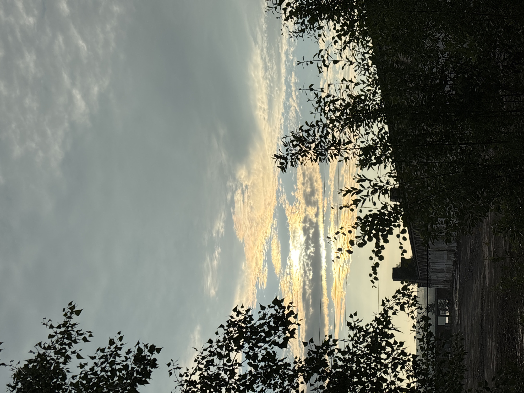 The image depicts an industrial landscape at dusk in Chaikovsky, Russia. Silhouetted foliage frames the foreground, with trees on the left and right edges of the frame. Beyond the trees, an abandoned industrial building with a long, low roofline and a towering smokestack is visible. The sky above is filled with scattered clouds, some illuminated by the setting sun with a golden-orange hue. Power lines are strung across the sky, further emphasizing the industrial setting. The ground in front of the building appears to be a dirt or gravel lot. The overall atmosphere is one of industrial decay and natural beauty intertwined.