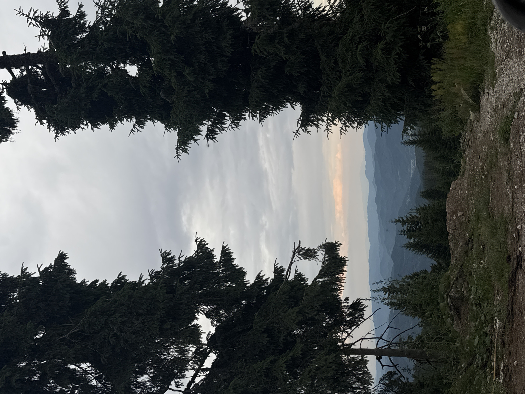 This image captures a scenic mountain landscape in Smolyan, Bulgaria, likely taken during sunset or dawn. The foreground is dominated by the dark, dense foliage of evergreen trees, which frame the view of rolling hills and distant mountains receding into a hazy blue. The sky is overcast with soft clouds, but a band of warm, pale orange and yellow light is visible on the horizon, suggesting the sun is either rising or setting. The terrain on the right side of the image appears rough and rocky, with patches of dry grass and some greenery, indicating an outdoor, natural setting, possibly a hiking trail or viewpoint. The overall mood is tranquil and serene, highlighting the natural beauty of the Bulgarian mountains. There is no visible text in the image.