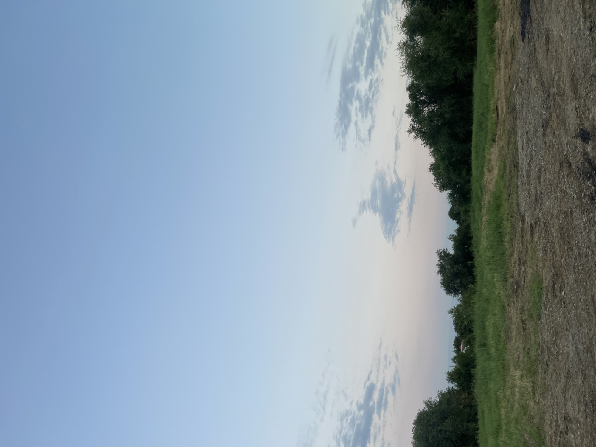 The image shows a rural landscape in the city of Donskoye, Russia. The foreground consists of a dirt and gravel area with tire tracks. Beyond this, a green grassy field stretches towards a line of dense trees. The trees form a dark green barrier across the middle ground. In the distance, a small structure with a white roof is partially visible through the trees. The sky is a clear, pale blue, with a few wispy clouds near the horizon. The overall impression is one of a quiet, natural setting, likely during the early morning or late evening given the soft light. There are no people or animals visible in the image.