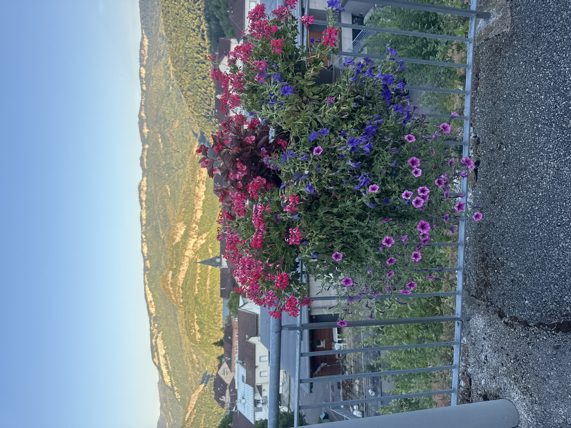 The image depicts a hanging planter overflowing with pink and purple flowers, positioned in front of a metal railing. Beyond the railing, a town with buildings, including a church spire, is visible nestled in a valley. In the background, lush green mountains rise under a clear blue sky. The foreground shows a textured ground surface, likely asphalt with gravel, and a portion of a concrete structure. The lighting suggests it is either early morning or late afternoon. The overall scene captures a tranquil view from what appears to be a balcony or elevated platform in Lavans-lès-Saint-Claude, France, showcasing the town and its surrounding natural landscape.