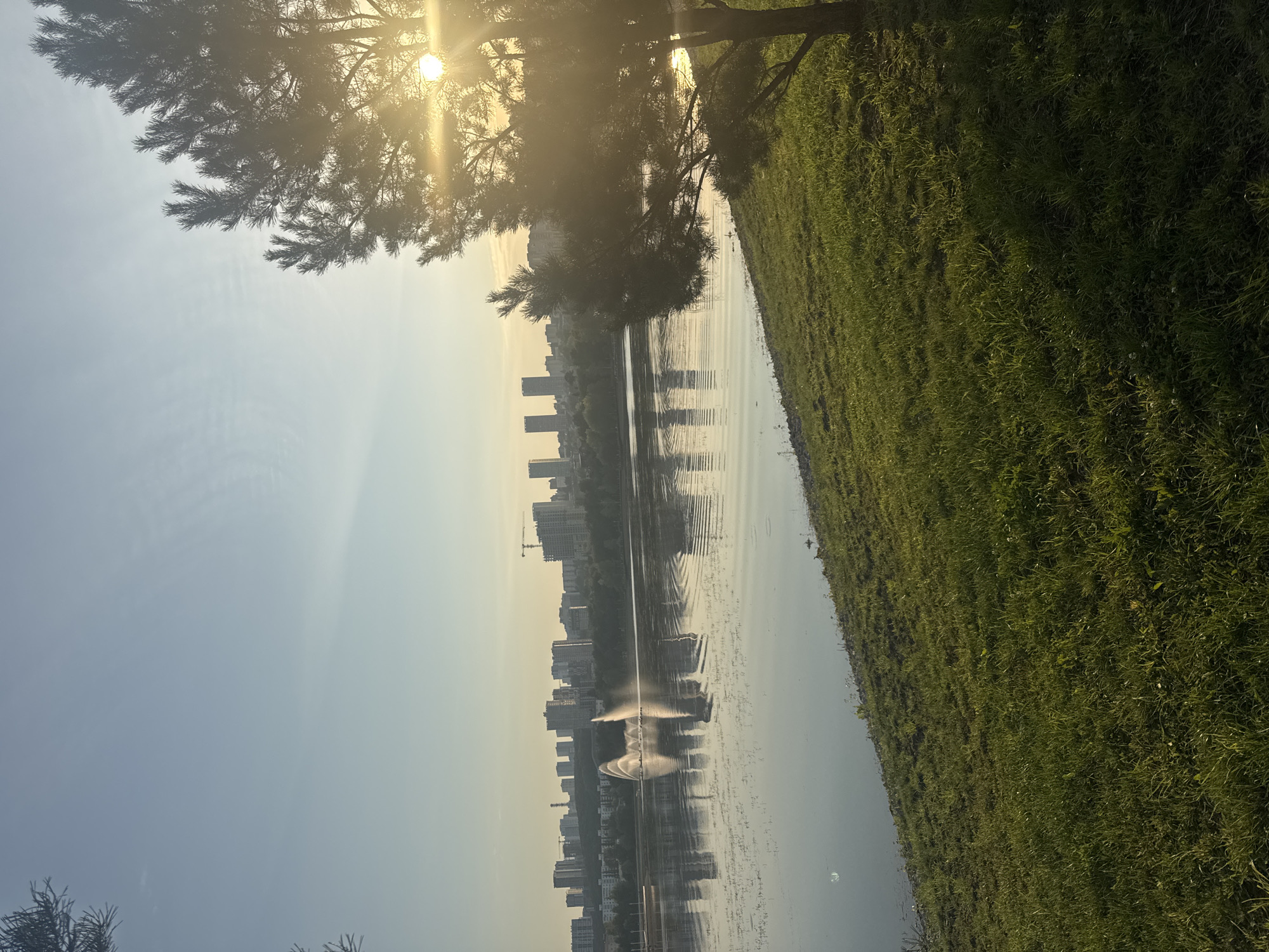 The image depicts a tranquil waterfront scene in Ufa, Russia, likely during a clear day. In the foreground, a lush green grassy slope leads down to the calm water of a lake or river. The grass appears well-maintained, with visible blades and some scattered wildflowers. On the right side of the frame, a portion of a coniferous tree, possibly a pine, is visible, its branches silhouetted against the sky and partially obscuring the sun.
The sun itself is a bright, distinct orb positioned in the upper right quadrant of the image, casting a warm, golden light that creates lens flare effects. The sky is a soft gradient of pale blue, transitioning to a lighter hue near the horizon.
Across the water, a city skyline is visible. Numerous modern buildings, including high-rises and cranes, suggest an urban environment. In the mid-ground of the water, a large fountain is active, with plumes of water arcing upwards, catching the sunlight. The fountain's spray is reflected in the placid water, which also mirrors the distant city buildings. The water's surface shows subtle ripples, indicating gentle movement. The overall atmosphere is serene and picturesque, characteristic of a park or recreational area adjacent to a city.