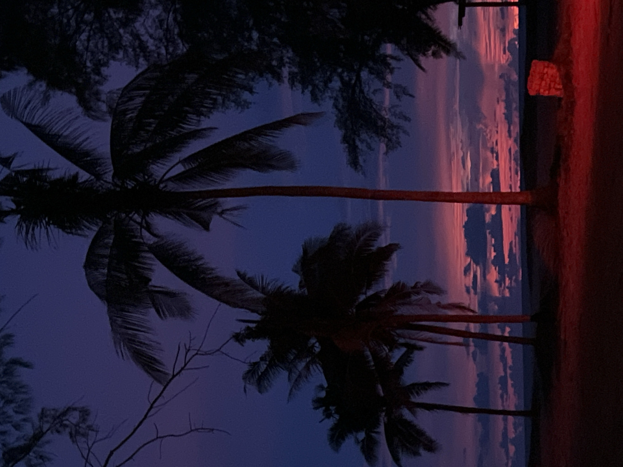 The image depicts a tropical beach scene at dusk, with palm trees silhouetted against a dramatic purple and pink sky. The sky is filled with scattered clouds, some of which are illuminated by the setting sun. The foreground is dark, with a hint of red light reflecting off the ground, possibly from a car or other artificial light source. There is a small, reddish, rectangular object in the lower right portion of the image. The overall atmosphere is serene and evocative.
