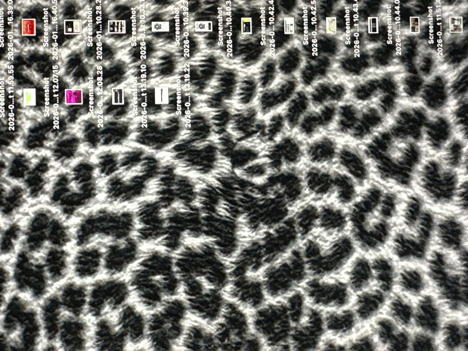 The image displays a close-up, textured black and white leopard print pattern, appearing to be a fabric or fur material, serving as a background. Superimposed on the right side of this pattern are multiple digital file icons and associated text labels, consistent with a computer desktop interface. Each visible label begins with "Screenshot" followed by a date and time stamp, such as "2026-0...t 11.59.55", "2026-01...16.39.0", and others indicating specific timestamps within the year 2026. The icons vary, including generic document or file previews and at least one distinct magenta-colored square thumbnail. There are no individuals, specific actions, or interactions depicted. The image provides no discernible geographical indicators to determine its specific location within the city of Wealden, United Kingdom.