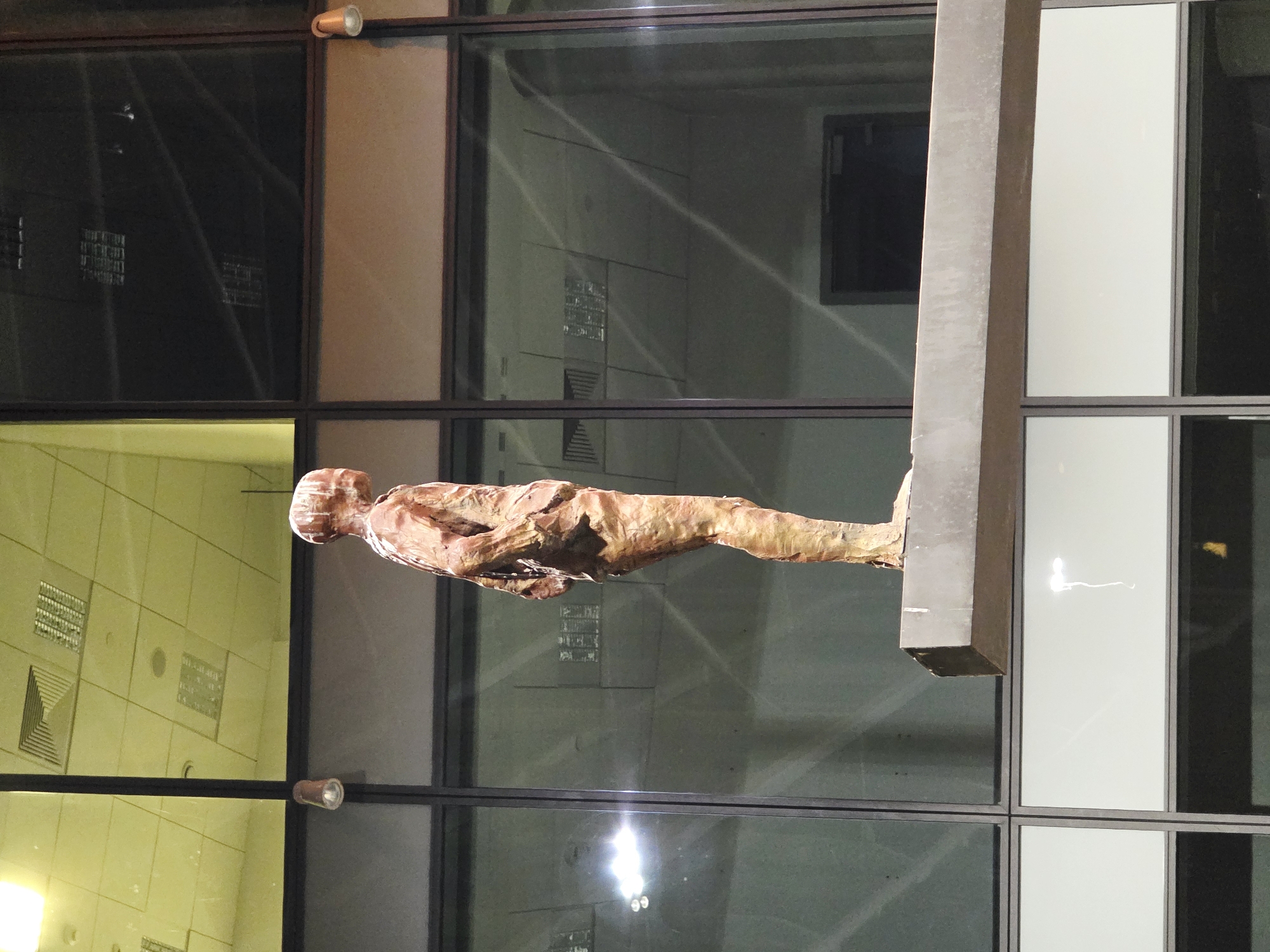 A full-body, side-profile shot of a copper-colored human statue stands on a concrete platform in front of a modern building with large windows. The statue is slender and appears to be made of a rough, textured material, with visible lines and imperfections suggesting it is a cast or sculpted piece. The figure's head is slightly tilted down, and its arms are bent at the elbows and held behind its back, with the hands clasped. The statue is illuminated from the front, casting a slight shadow behind it.
The building behind the statue features a grid of dark-framed windows. Some of the windows reflect the interior of the building, showing suspended ceiling panels with fluorescent lighting and air vents. Other windows are darker, reflecting the night sky or other external elements. Two small, round, metallic lights are visible mounted on the exterior of the building near the top of the frame.
The statue is located on the facade of the National Museum in Warsaw, Poland. The National Museum in Warsaw is situated on Aleje Jerozolimskie 3. This particular sculpture, known as "The Diver" or "The Statue of a Diver," is an iconic element of the museum's exterior.