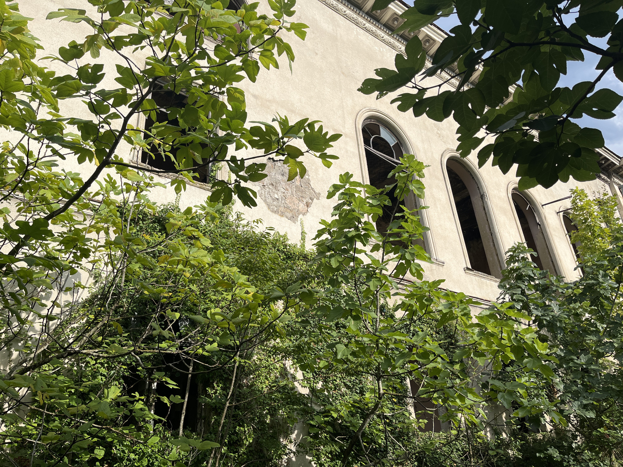 The image depicts the exterior of an abandoned, multi-story building in Tskaltubo, Georgia, heavily overgrown with lush green vegetation. The building's facade is a light, weathered color, with large, arched windows that are now empty and dark, suggesting disrepair. Some sections of the wall show signs of crumbling plaster. The foreground and middle ground are dominated by dense foliage from trees and vines, obscuring much of the building's structure. Sunlight filters through the leaves, creating a dappled effect on the building and surrounding greenery. The sky is visible in the upper right corner, appearing clear and blue. The overall scene evokes a sense of decay and nature reclaiming a man-made structure. There are no people or animals visible in the image.