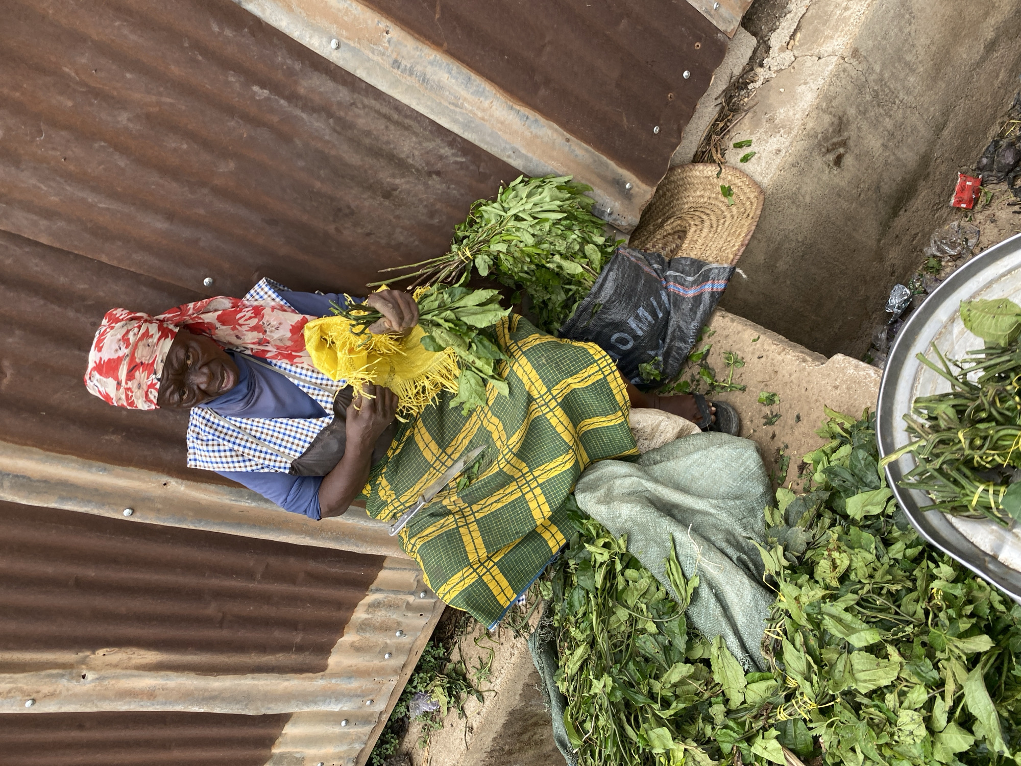 A medium overhead shot shows a woman seated on the ground next to a corrugated metal wall, surrounded by leafy green vegetables, in Bukuru, Nigeria. The woman, wearing a red and white floral headscarf, a blue and white checkered shirt, and dark-colored pants, looks toward the camera and holds a bunch of green leaves tied with yellow string. A yellow and green checkered cloth and a black bag with white lettering are near her. A knife rests on the checkered cloth. Piles of green leafy vegetables are scattered around her on the ground and in a silver tray. A woven basket and a green sack are also present. The background includes a concrete structure and scattered debris.