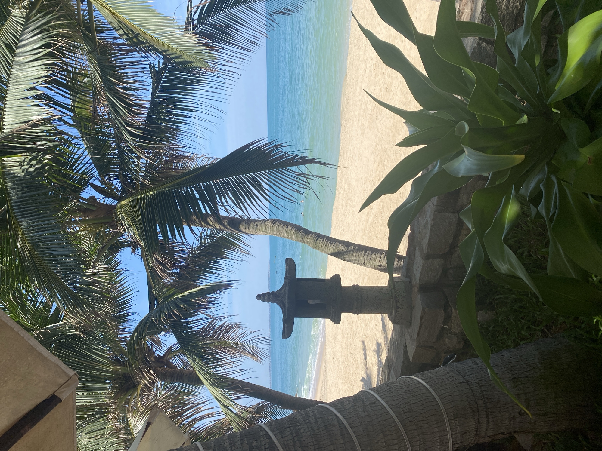 This image depicts a serene beach scene in Phu Thuy Ward, Vietnam. In the foreground, palm fronds partially obscure the view of a sandy beach and the tranquil turquoise ocean. To the left, a rough-barked palm tree stands prominently, with white straps wrapped around its trunk. A weathered stone lantern, possibly a traditional Japanese-style garden lantern, is positioned on the beach, just beyond a low stone wall. Lush green foliage, likely a succulent plant with broad, fleshy leaves, grows in the lower right portion of the frame, adding a touch of vibrant green to the composition. The water is calm, with gentle waves lapping the shore. In the distance, a few small boats are visible on the horizon, and the sky is a clear, bright blue, suggesting a sunny day. A partial view of a beige umbrella or awning can be seen in the upper left corner, hinting at a nearby seating area or shelter. There are no discernable people in focus, although a faint silhouette of someone swimming can be observed in the ocean. The overall impression is one of peaceful relaxation and natural beauty.
