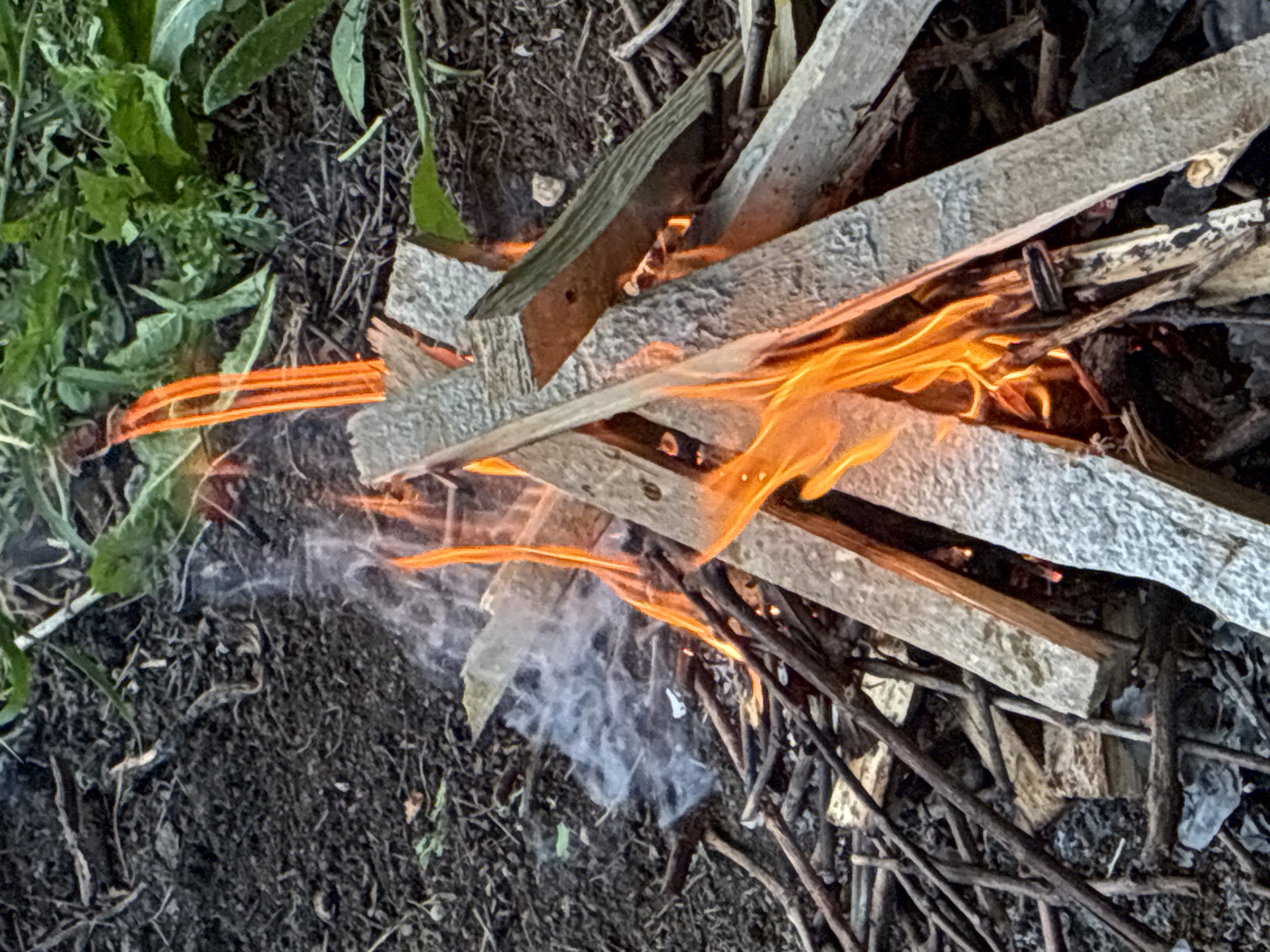 A close-up, ground-level shot captures a small bonfire in Surami, Georgia. The fire, constructed with thin, dried branches and larger pieces of weathered wood, crackles with vibrant orange flames that reach upwards. Wisps of white smoke curl from the base of the fire, dissipating into the surrounding earthy ground. The ground itself is a mix of dark soil, scattered twigs, and dried leaves. To the right and top of the frame, lush green foliage and weeds are visible, indicating an outdoor, possibly wooded or overgrown, setting. No people are present in the image.