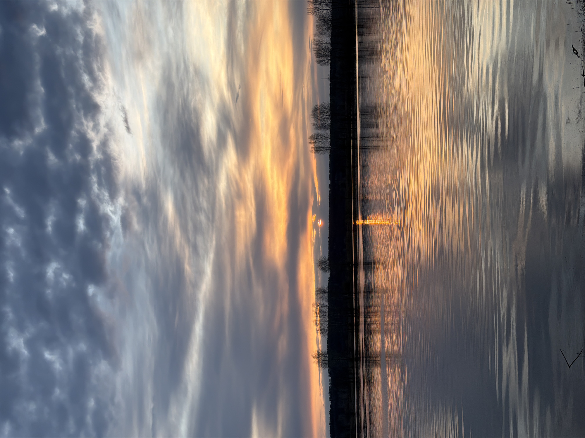 This image captures a serene landscape at either sunrise or sunset over a body of water, likely a lake or river, in Nikolo-Beryozovka, Russia. The sky, occupying the upper half of the frame, displays a dramatic transition of colors. On the left, dark blue and grey clouds are dense and textured, while towards the right, the sky explodes with vibrant orange and yellow hues, forming long, streaky clouds illuminated by the sun.
The sun itself is a small, intense orange orb peeking just above a distant, dark treeline that forms the horizon. This line of bare, silhouetted trees stands starkly against the colorful sky, indicating a late autumn, winter, or early spring season.
The lower half of the image features the water, which beautifully reflects the sky above. The right side of the water glows with brilliant orange and yellow light, mirroring the sun's position and the illuminated clouds. Numerous ripples on the water's surface create distinct vertical streaks of reflected light. Towards the left, the water reflects the cooler, darker blue-grey tones of the sky, also showing the textured patterns of the ripples.
The overall scene conveys a sense of tranquility and natural beauty. There are no people or visible text in the image.