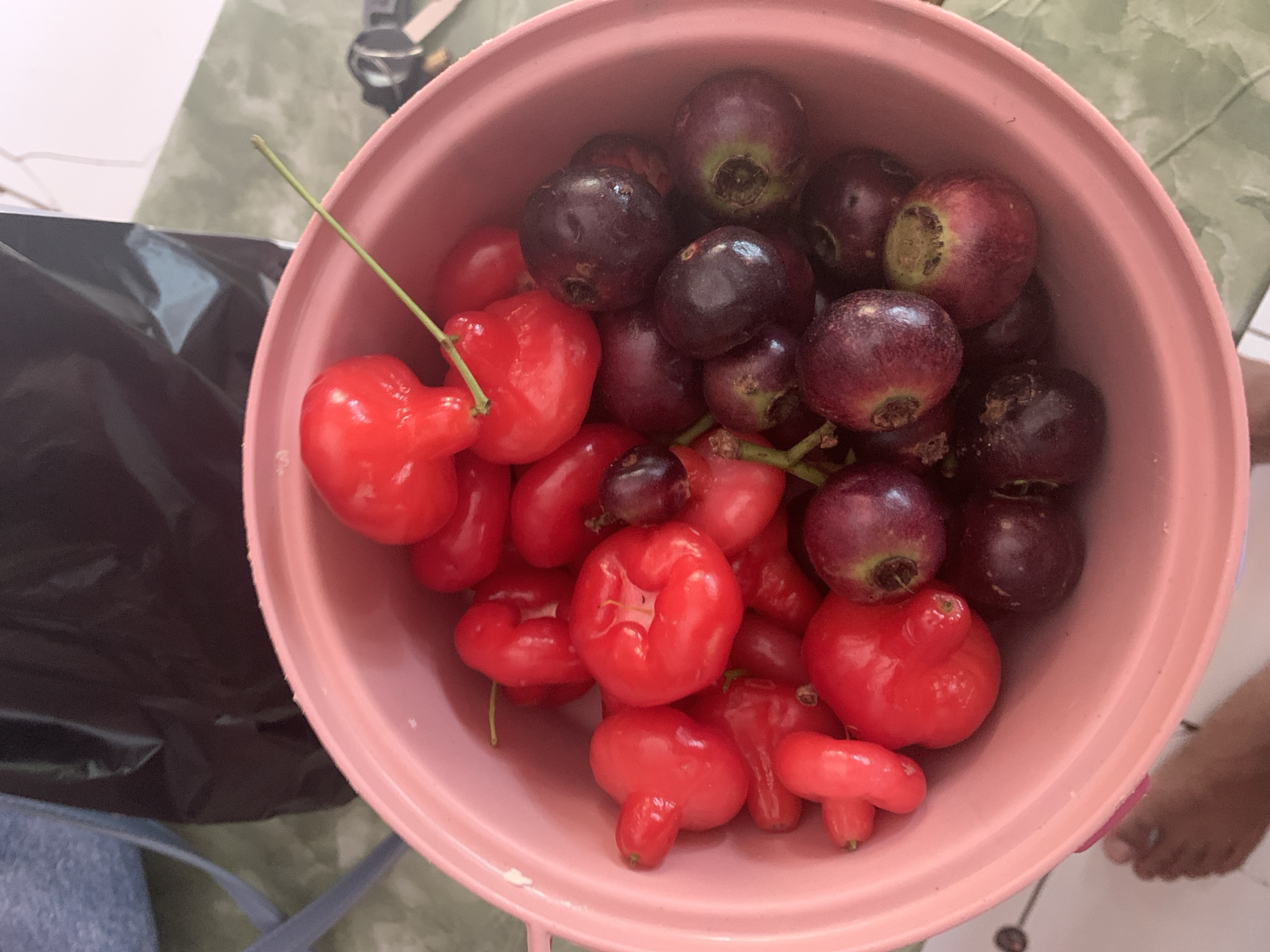 A pink bowl is filled with red and dark purple fruits. The red fruits are bell-shaped with a stem, and the dark purple fruits are round. The bowl sits on a table with a green and white patterned surface. In the background, a black bag and a blue bag are visible. A person's foot is visible at the bottom left of the image, suggesting the photo was taken in a residential area in Jelat, Indonesia.