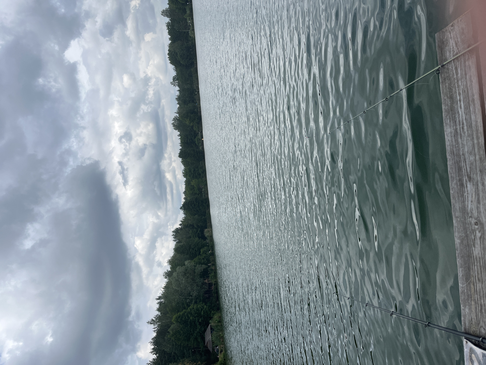 The image shows a wide view of a lake under a cloudy sky. The foreground is occupied by a wooden dock, with two fishing rods angled towards the water. The lake's surface is rippled, reflecting the muted light. Along the far bank of the lake, a dense line of trees forms a natural border, with a few small structures visible nestled within the foliage, suggesting a recreational or residential area. The overall atmosphere is one of quietude and nature, characteristic of a lakeside scene in Janówek Pierwszy, Poland.