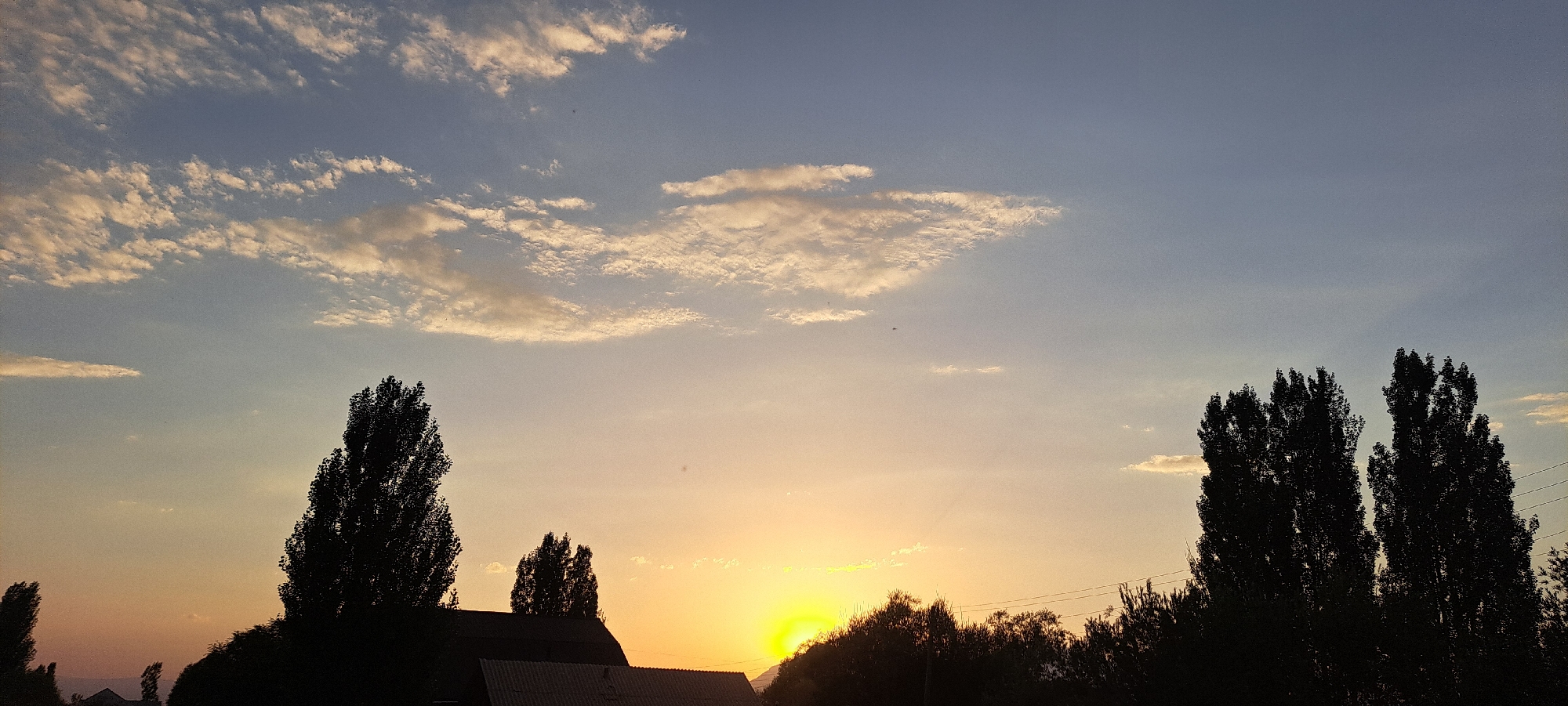 The image captures a serene sunset over the city of Bash-Kaiyndy, Kyrgyzstan. The sky is painted with a gradient of soft blues and warm oranges, transitioning into a pale yellow near the horizon where the sun is setting. Scattered across the sky are wispy, light-colored clouds, some tinged with the golden hues of the setting sun.
In the foreground, the silhouettes of tall, slender trees dominate the landscape, their dark forms stark against the luminous sky. To the left, a single, prominent tree stands out, while to the right, a cluster of two trees creates a dramatic visual. Below the trees, the rooftops of a few buildings are visible, suggesting a residential area. The overall scene is one of quiet tranquility, bathed in the gentle light of dusk. There are no people or animals visible in the image.