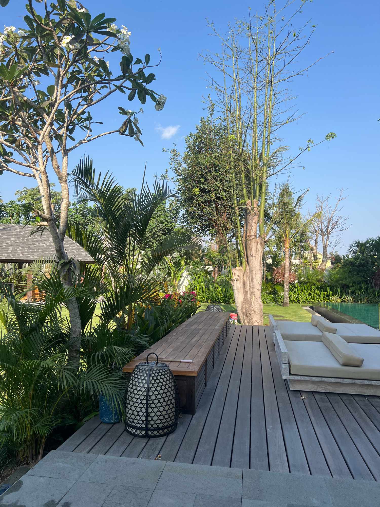 The image depicts an outdoor seating area adjacent to a swimming pool, likely located in Ngaglik, Indonesia. The scene is bathed in sunlight, with a clear blue sky overhead. In the foreground, a wooden deck extends from the lower left to the right of the frame. On the deck, a long wooden bench with slatted sides is positioned on the left, with a large, decorative black lantern placed in front of it. Further to the right on the deck are two lounge chairs with beige cushions, facing towards the swimming pool which is visible as a teal expanse on the far right.
The background features lush tropical vegetation, including palm trees, frangipani trees with white flowers, and other broad-leafed plants. A section of a building with a dark, shingled roof is visible on the left, peeking out from behind the foliage. The overall environment suggests a resort or a private villa. No people are present in the image.