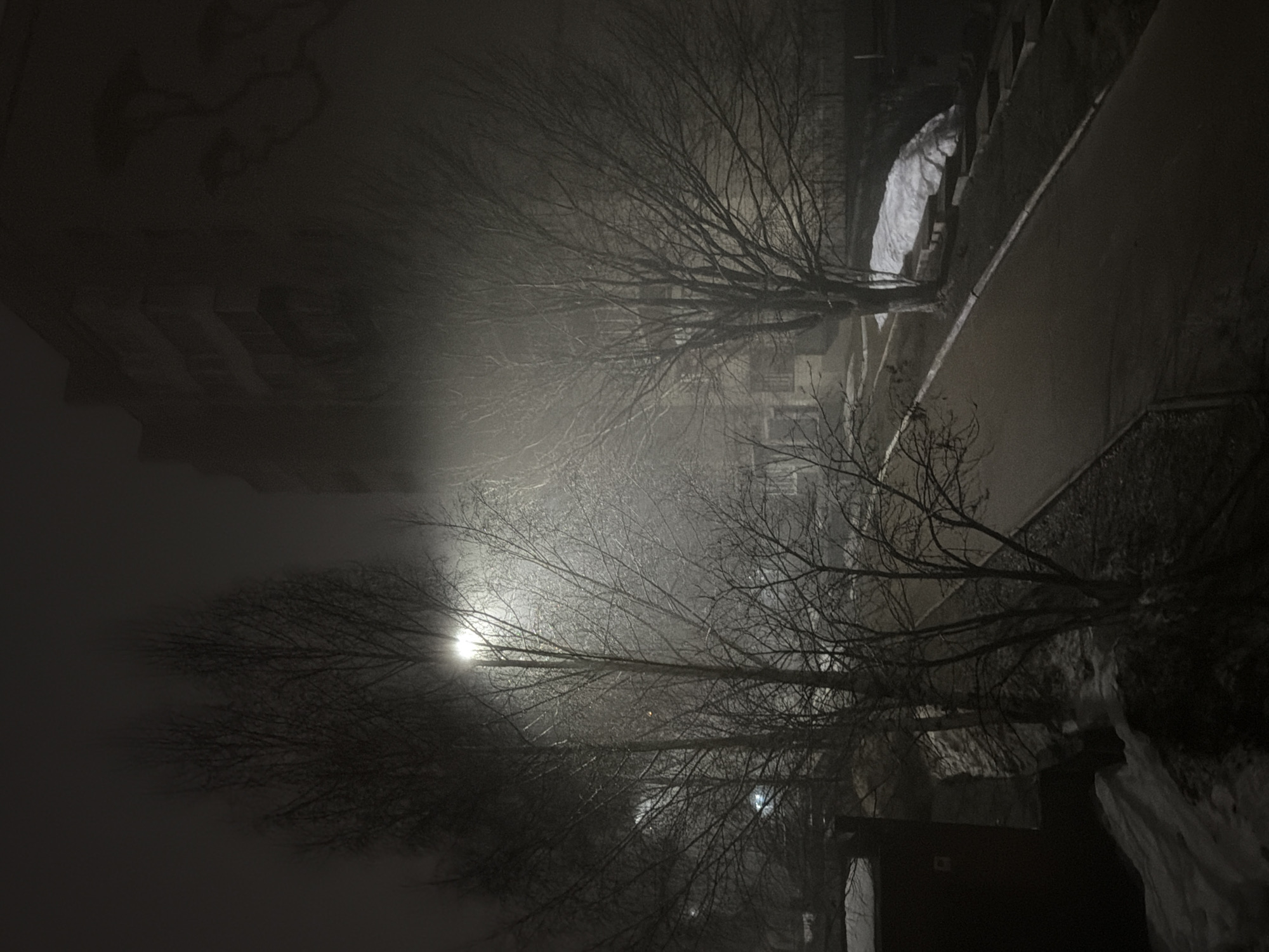The image depicts a nighttime scene in Votkinsk, Russia, likely in winter. A street lamp is visible, shrouded in fog or mist. Bare tree branches are silhouetted against the light. A building is partially visible in the background on the left. A sidewalk and adjacent garden area are on the right. There is snow present. The image is rotated counter-clockwise.